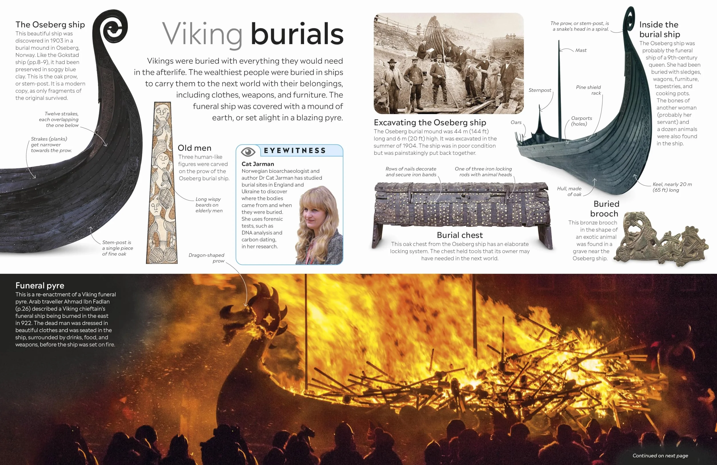 Viking: DK Eyewitness