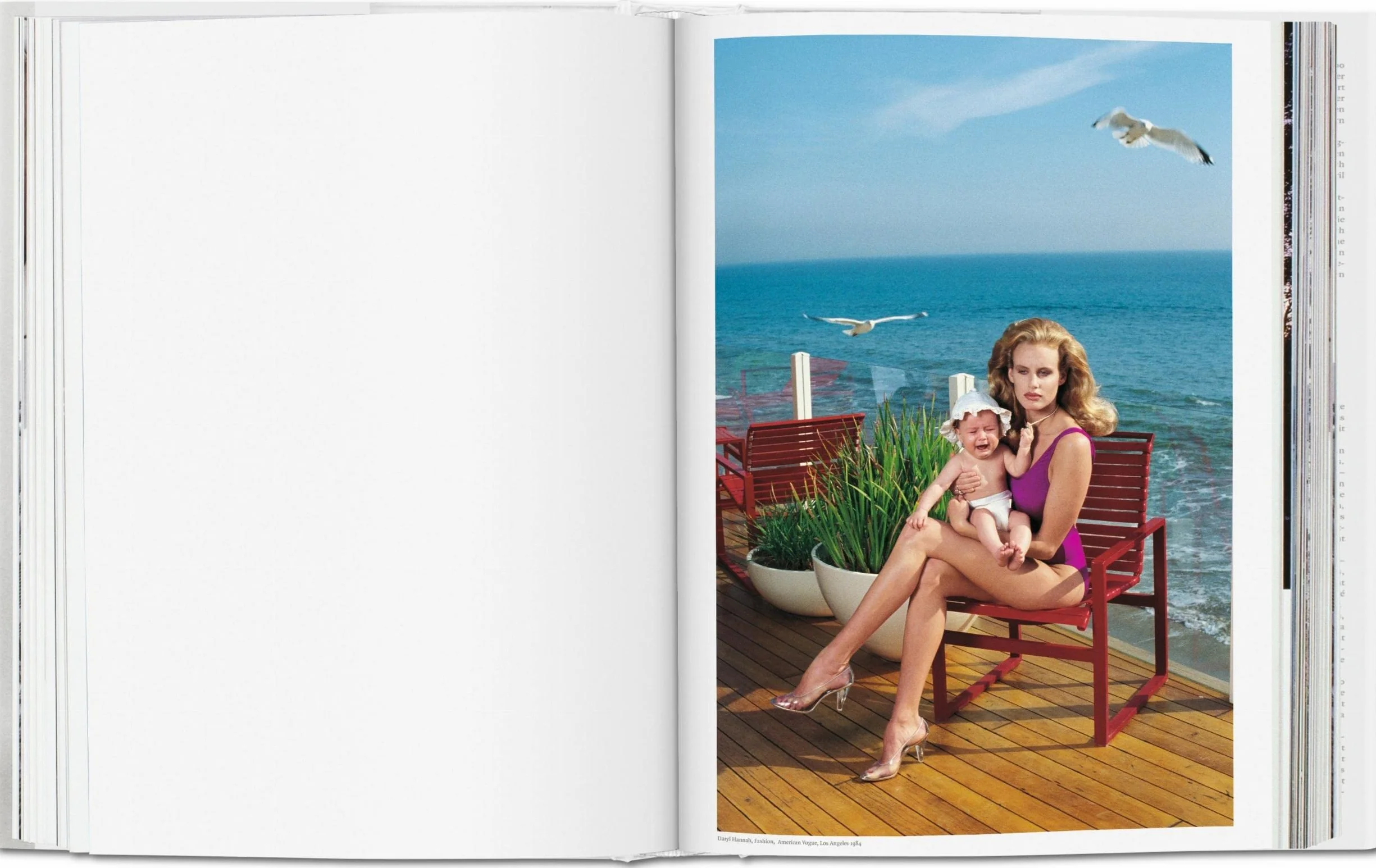 Helmut Newton SUMO 20th Anniversary