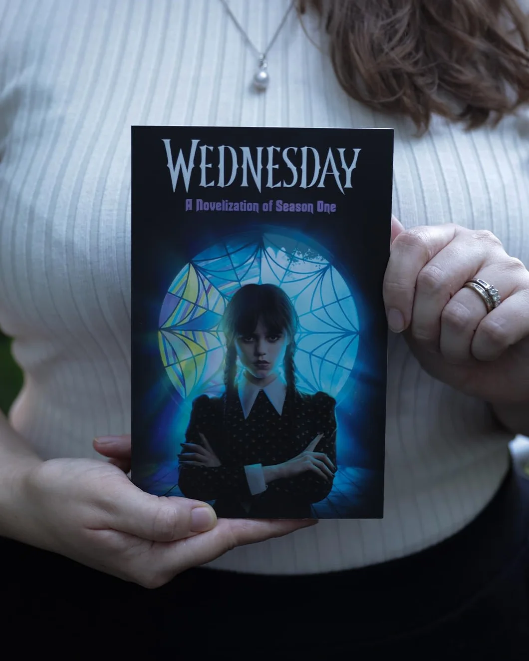 Wednesday: A Novelisation of Season One