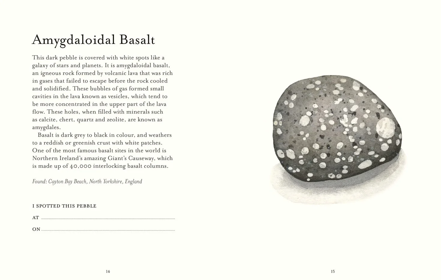 The Pebble Spotter's Guide