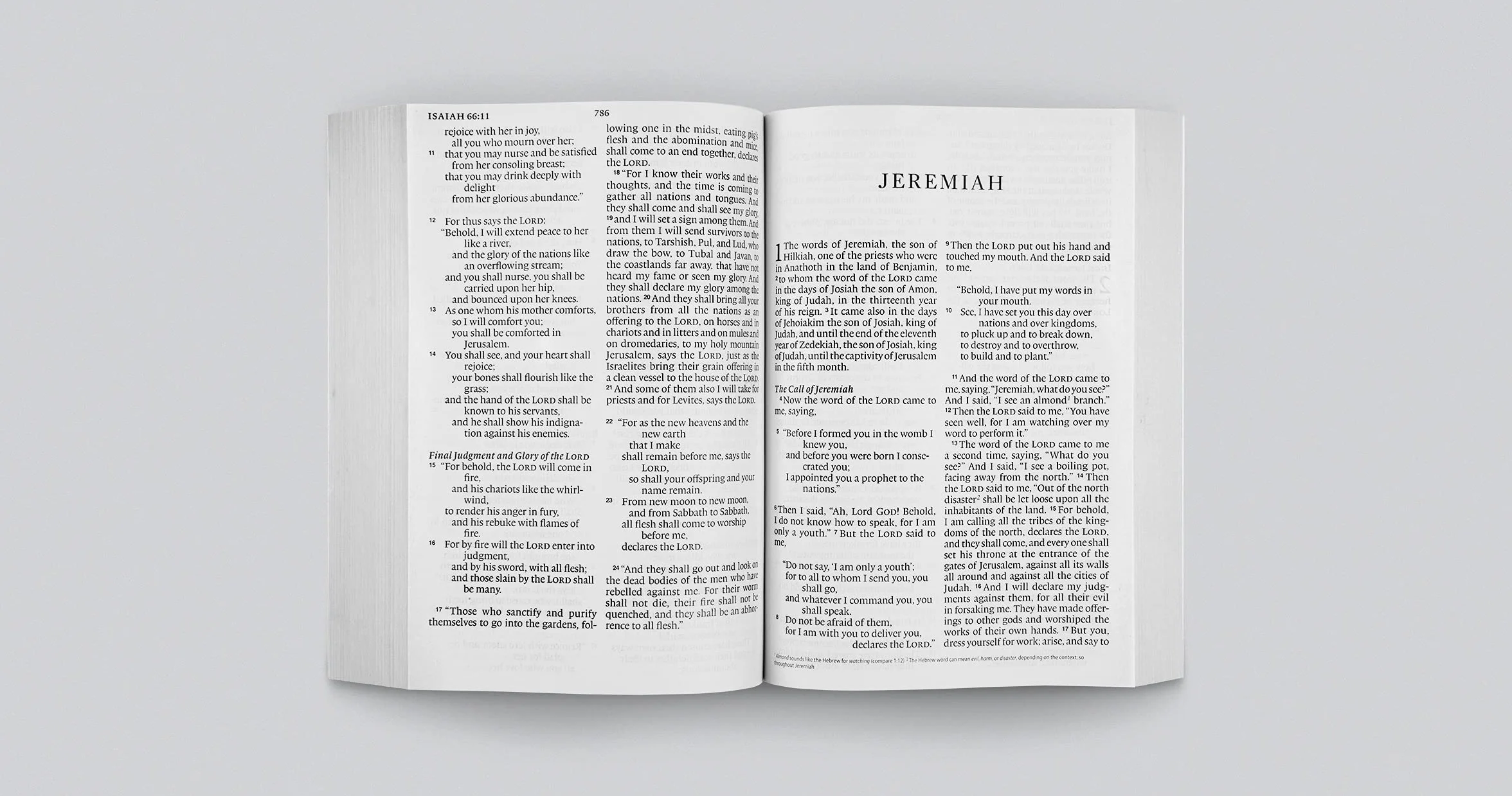 ESV Economy Bible, Giant Print (Paperback)