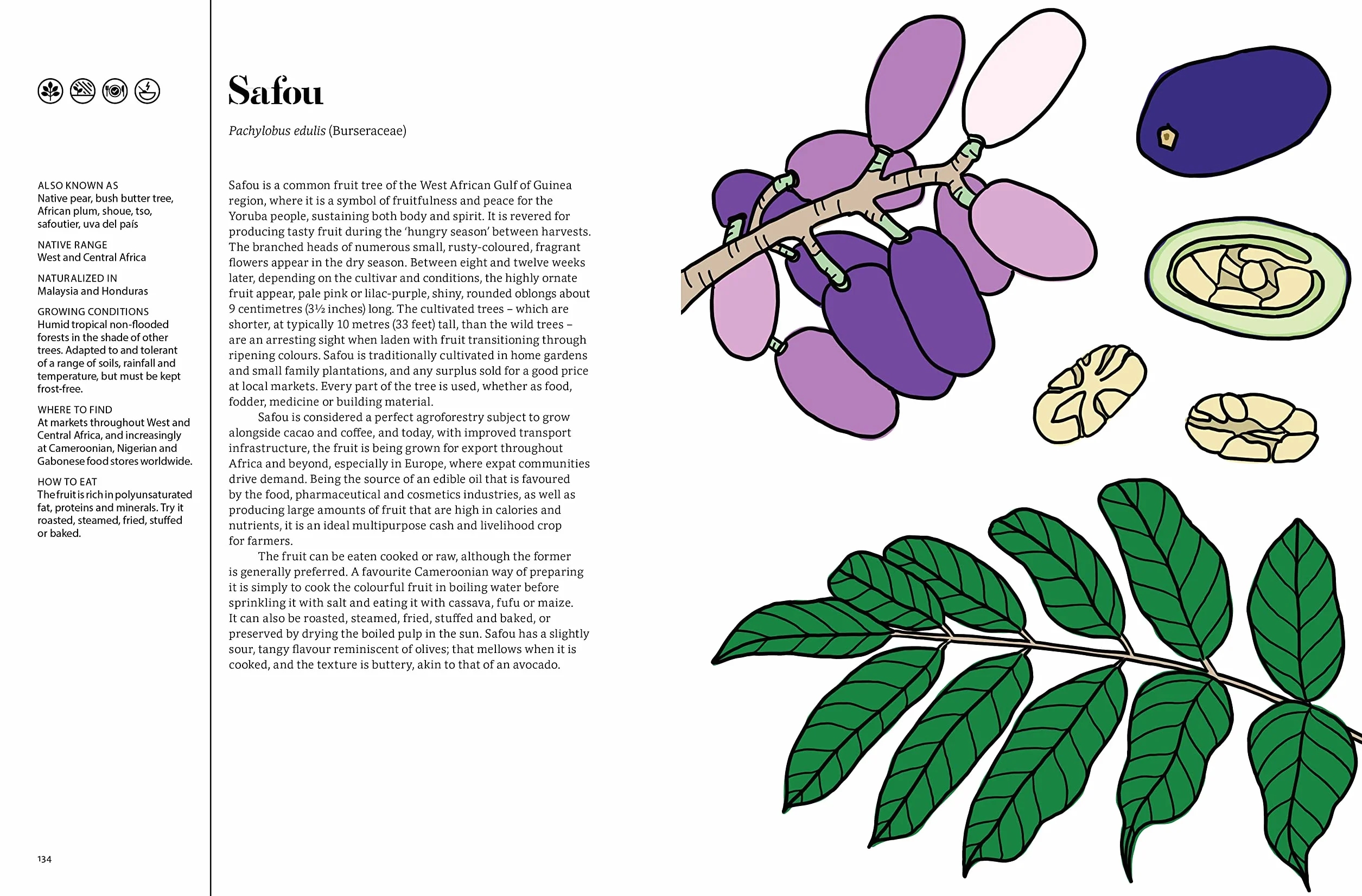 Edible : 70 Sustainable Plants That Are Changing How We Eat /anglais