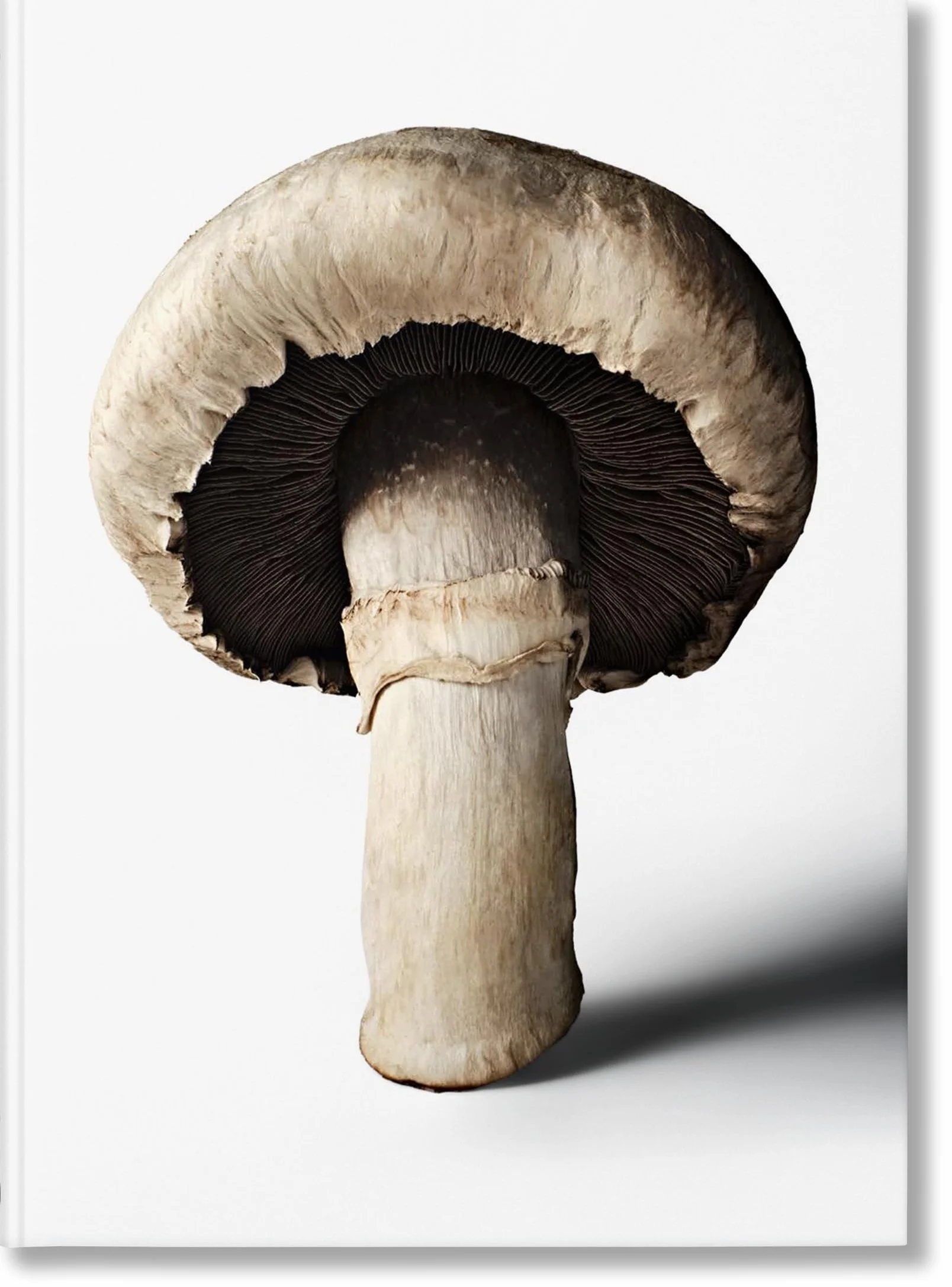 The Gourmand's Mushroom: A Collection of Stories & Recipes