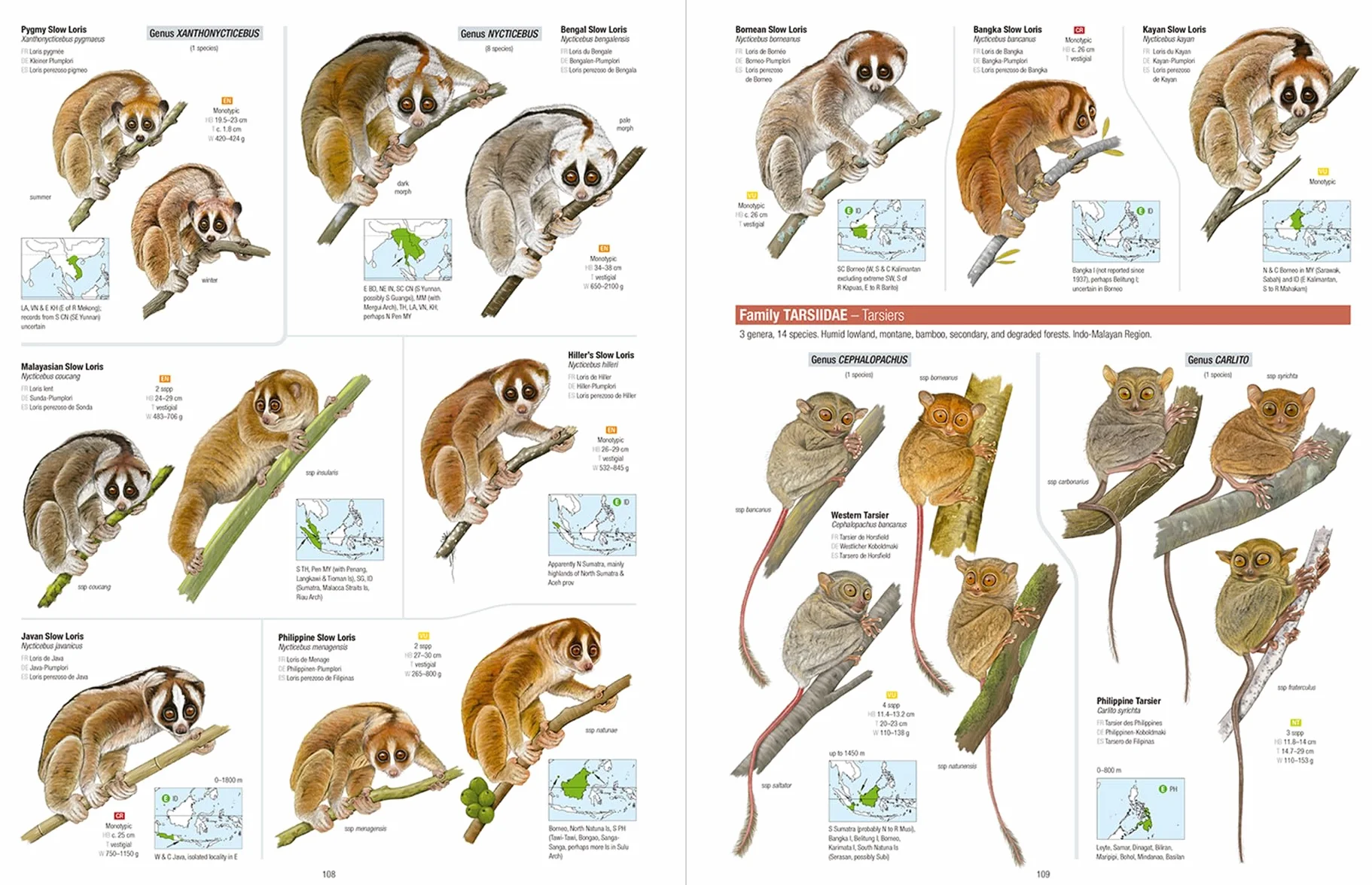 All the Mammals of the World
