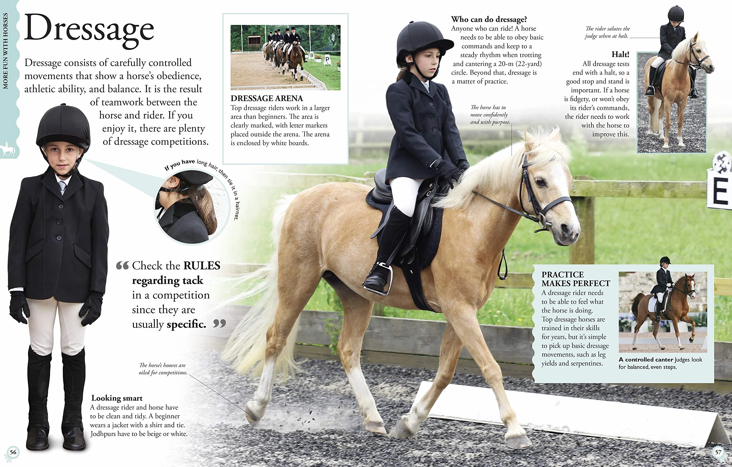 How To...Horse Riding: A Step-by-Step Guide to Mastering Your Skills