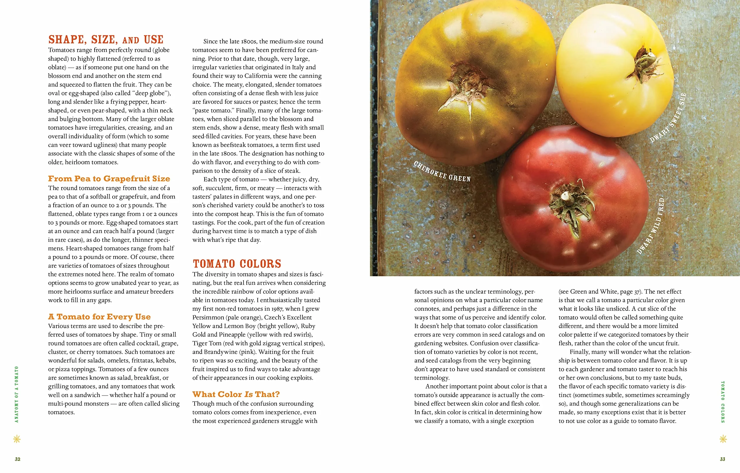 Epic Tomatoes: How to Select and Grow the Best Varieties