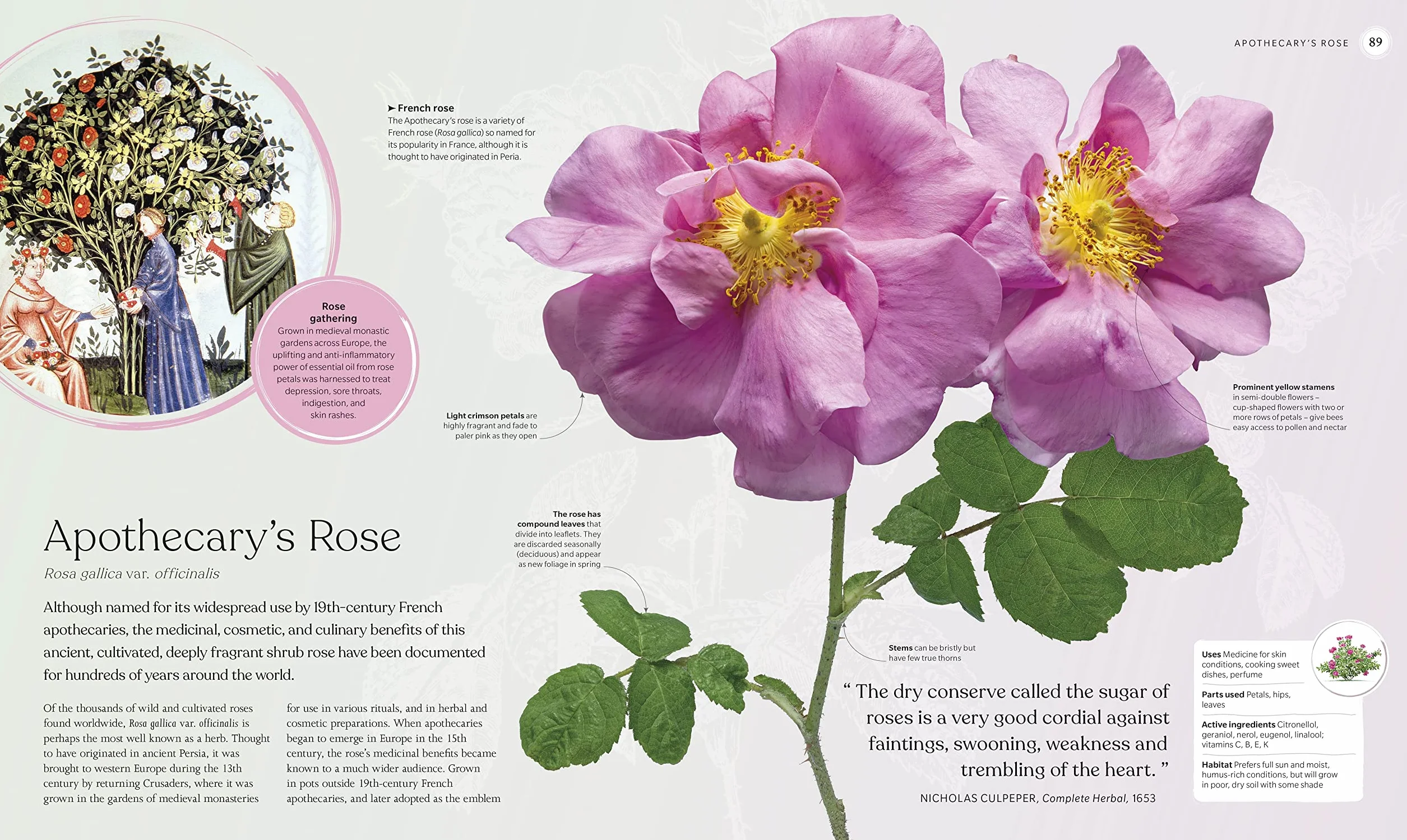 The Herb Book: Stories, Science, and History of Herbs