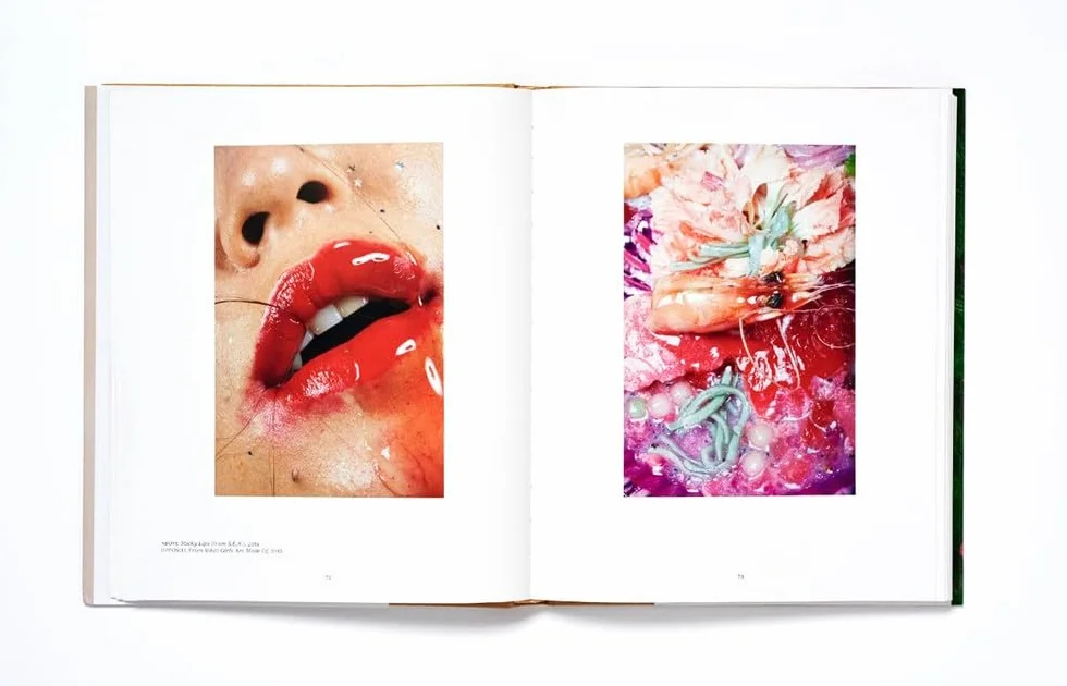 Girl on Girl: Art and Photography in the Age of the Female Gaze (40 Artists Redefining Fashion, Art, Advertising, Photojournalism)