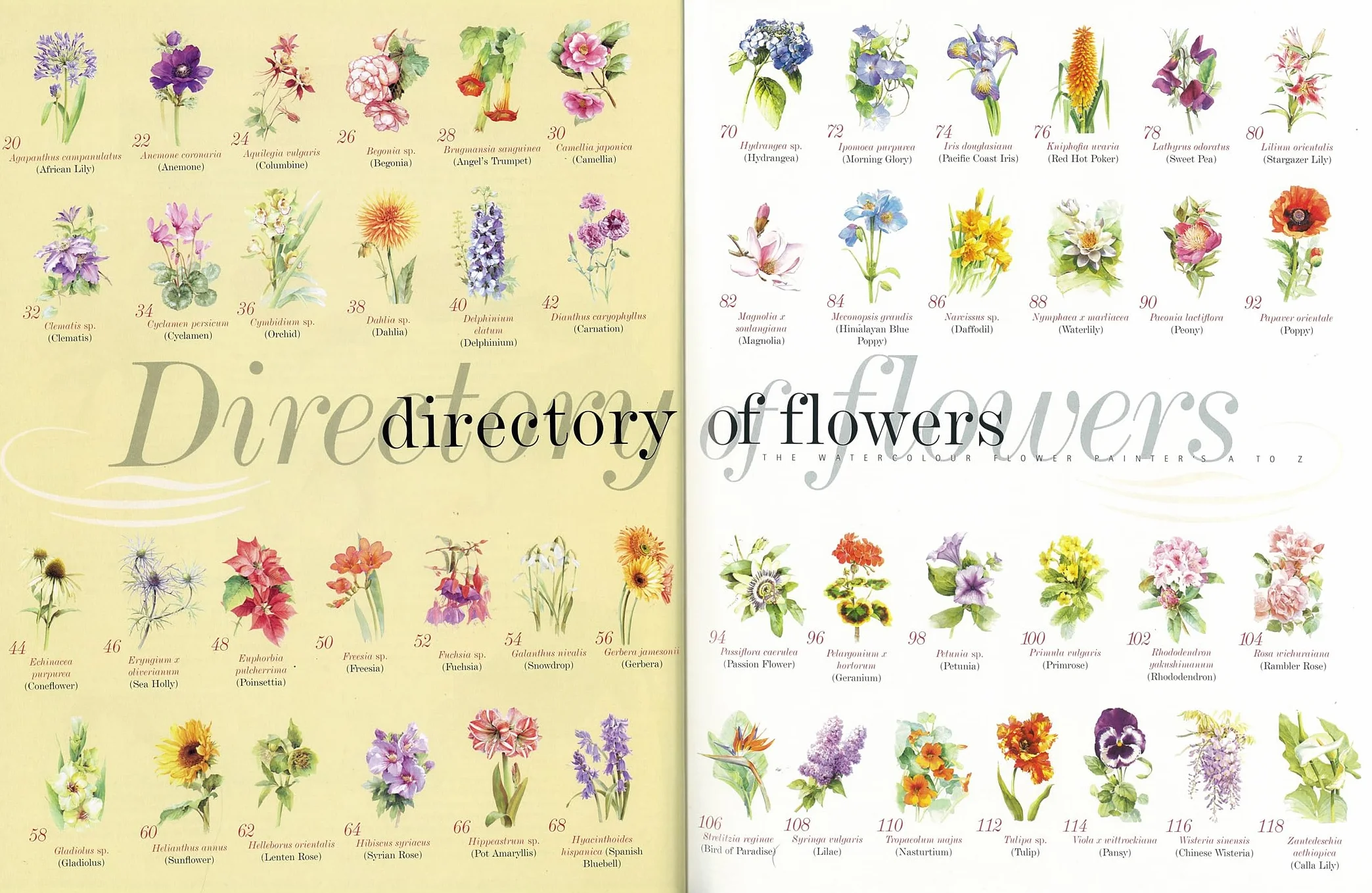 Kew Watercolour Flower Painter's A to Z: Illustrated Directory of Techniques for Painting 50 Popular Flowers