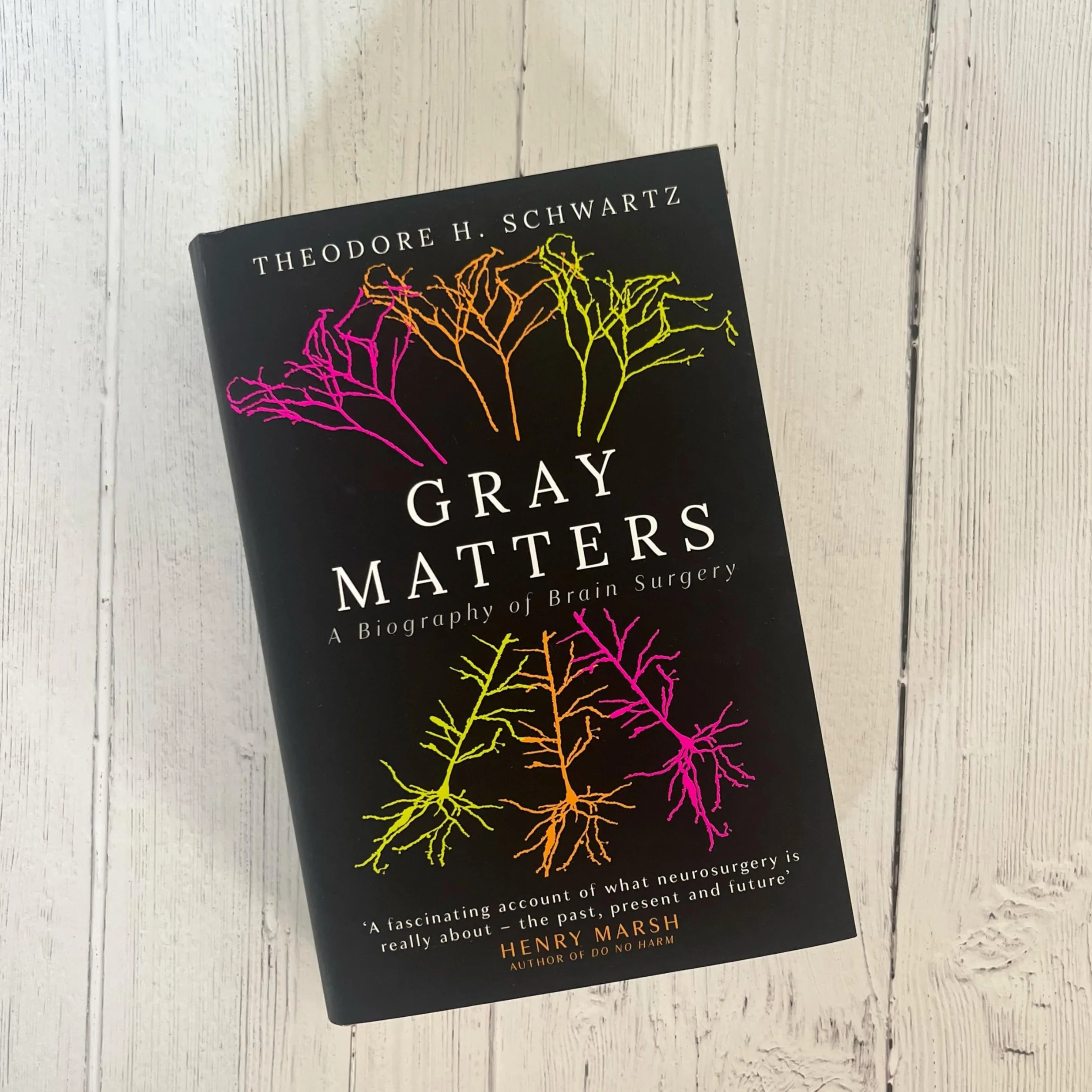 Gray Matters: A Biography of Brain Surgery