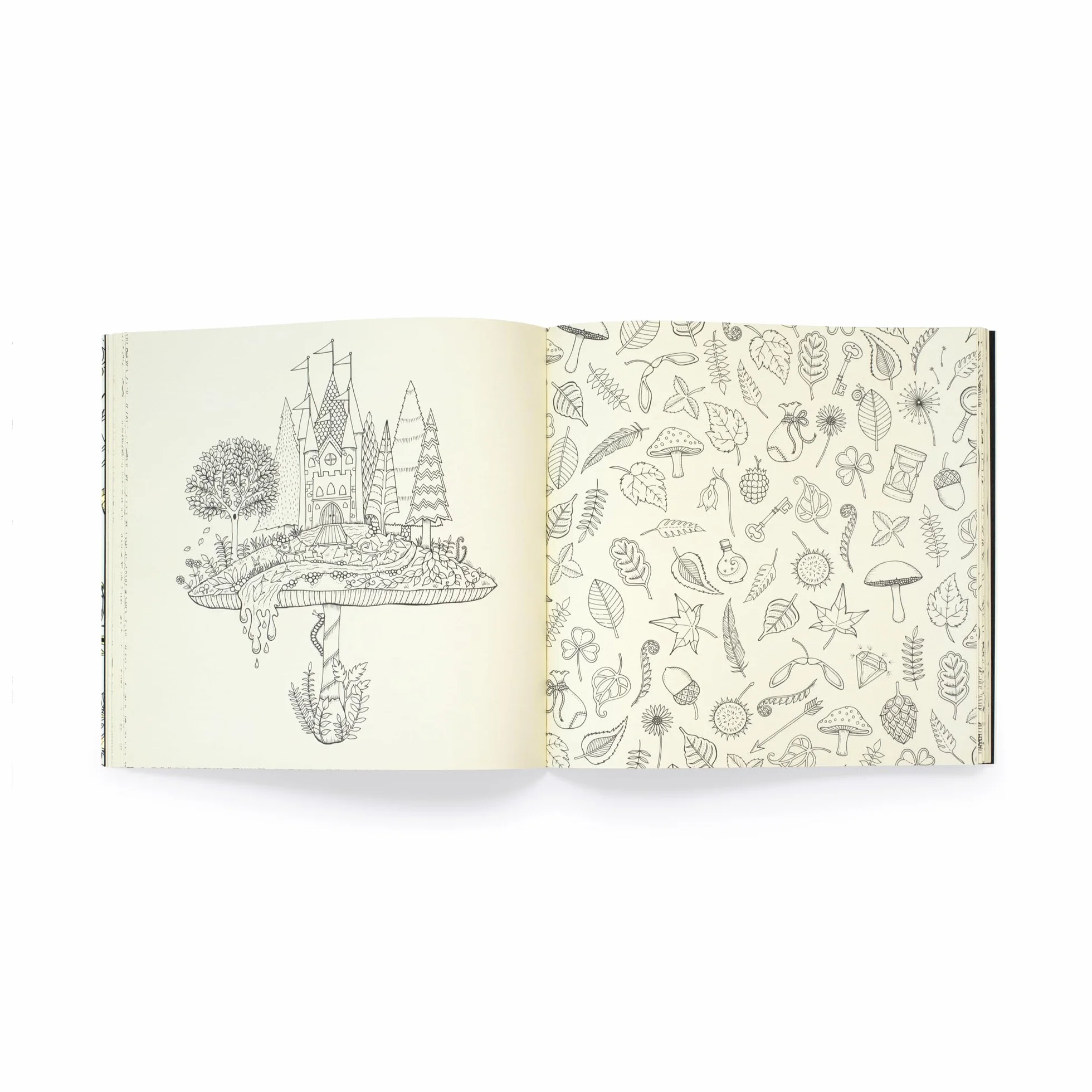 Enchanted Forest 10th Anniversary Limited Special Edition