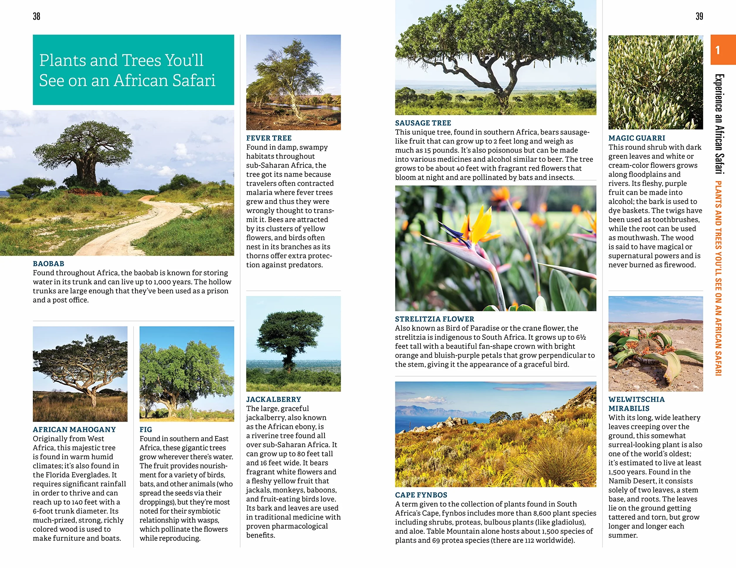 Fodor's Complete Guide to African Safaris: South Africa, Kenya, Tanzania, Botswana, Namibia, Rwanda, Uganda & Victoria Falls