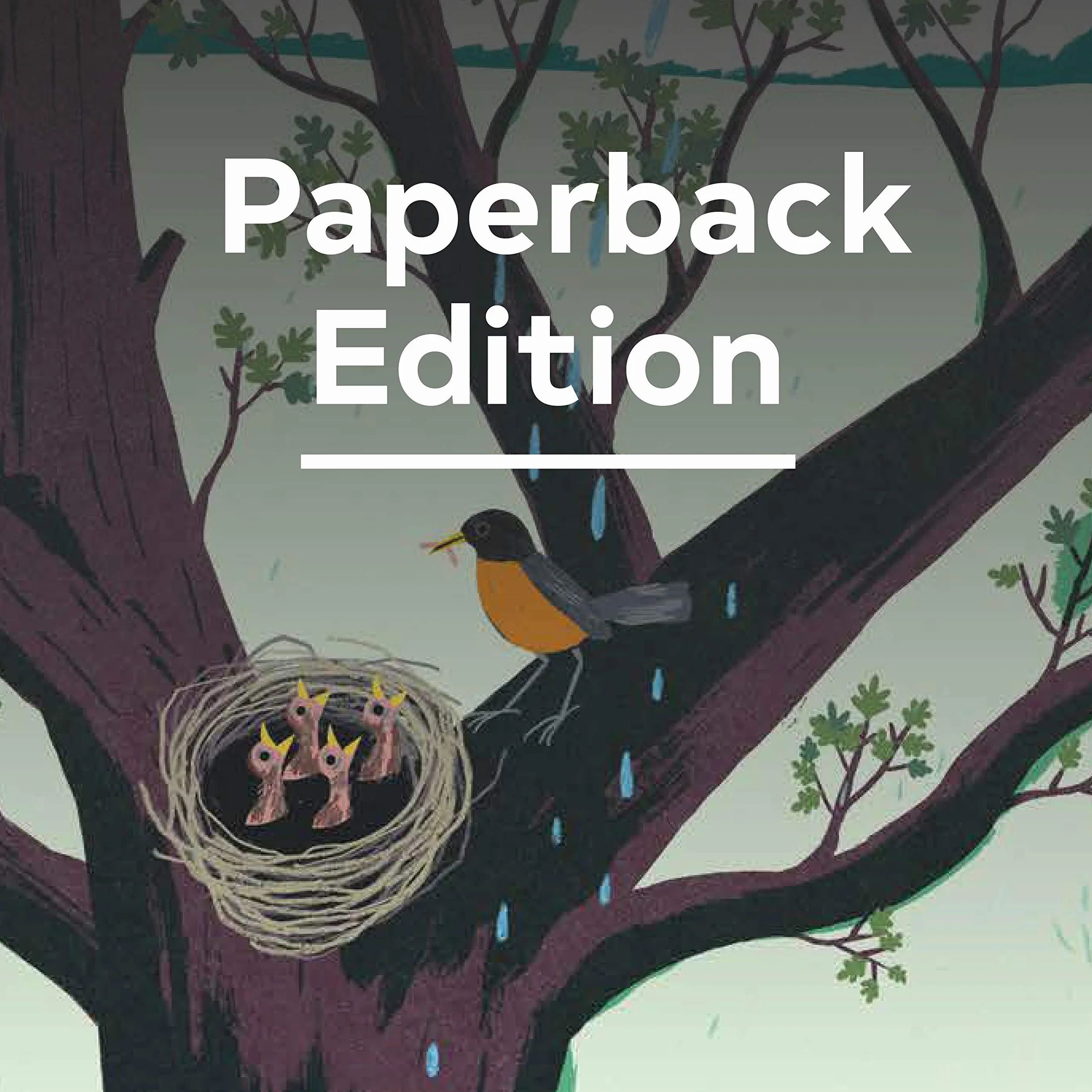 Up in the Garden and Down in the Dirt: Nature Book for Kids, Gardening, Outdoor Nature Book