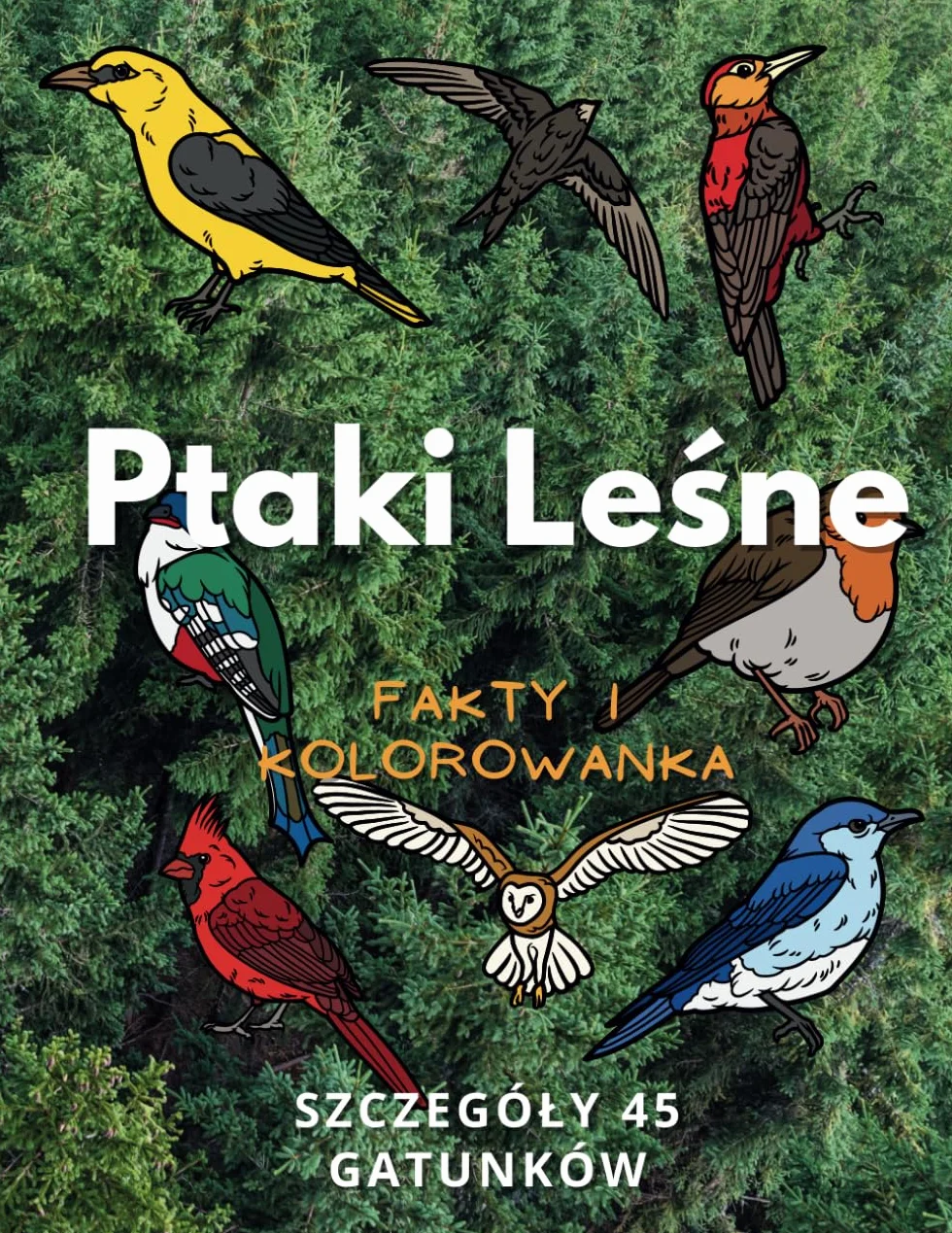 Ptaki Leśne Kolorowanka Dla Dzieci 2-16 Lat