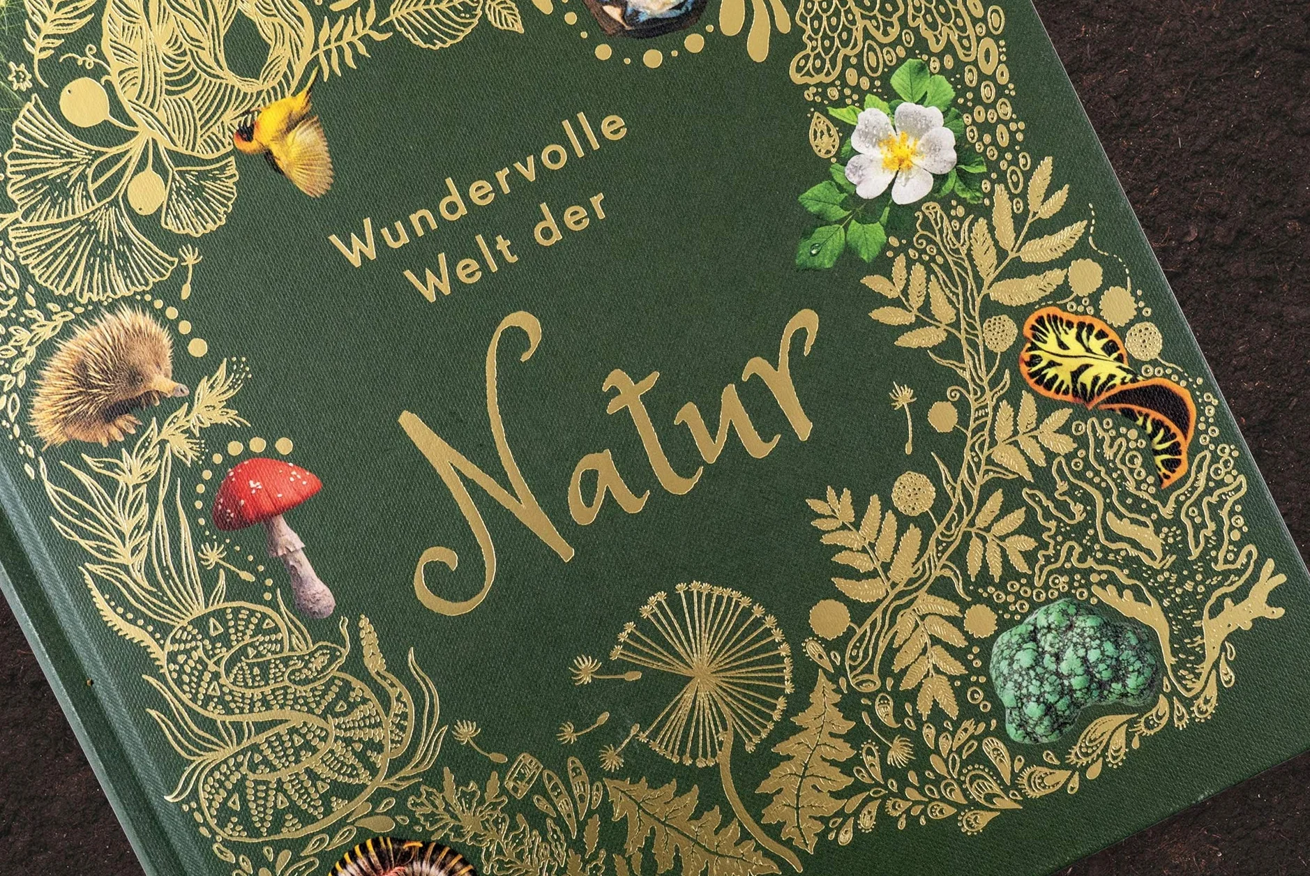 Naturbilderbuch für die ganze Familie mit Lesebändchen, Goldfolie und Goldschnitt