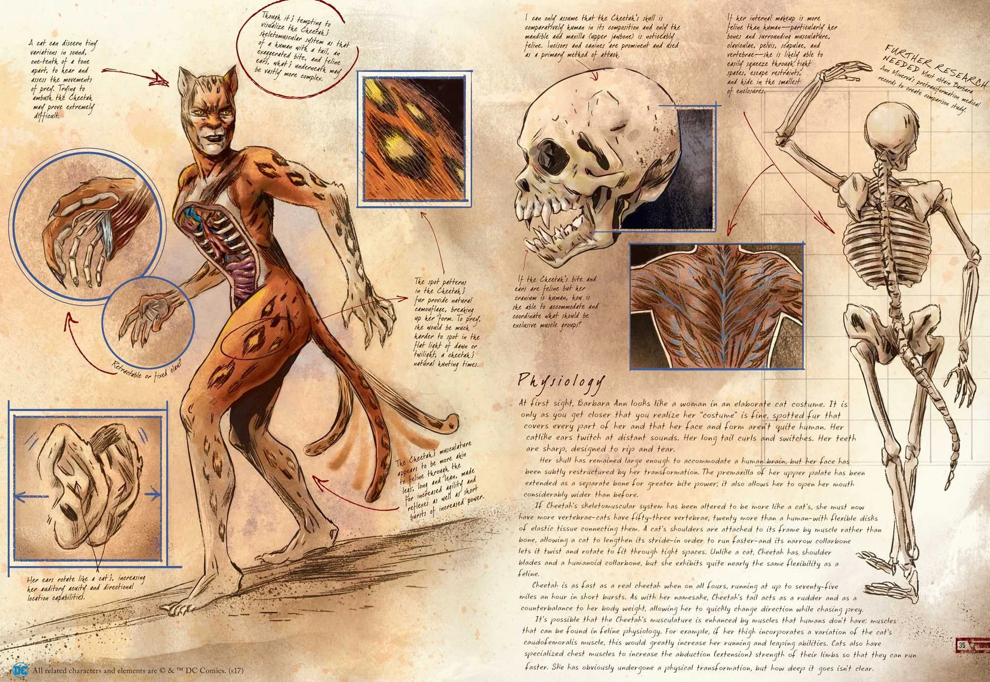 DC Comics: Anatomy of a Metahuman