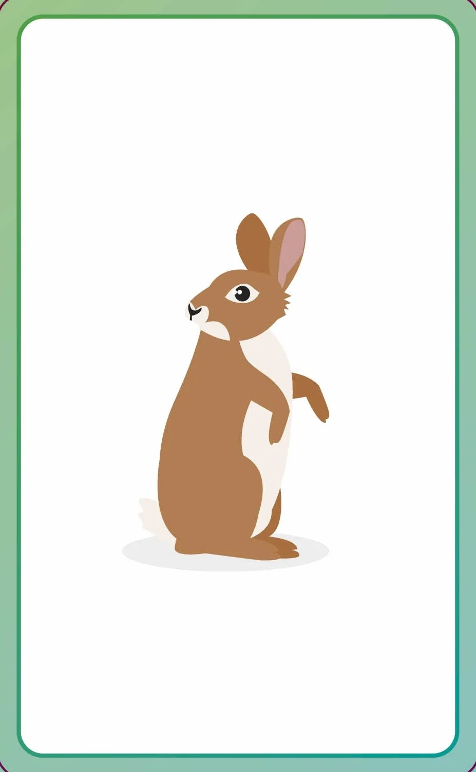 English for Everyone Junior First Words Animals Flash Cards