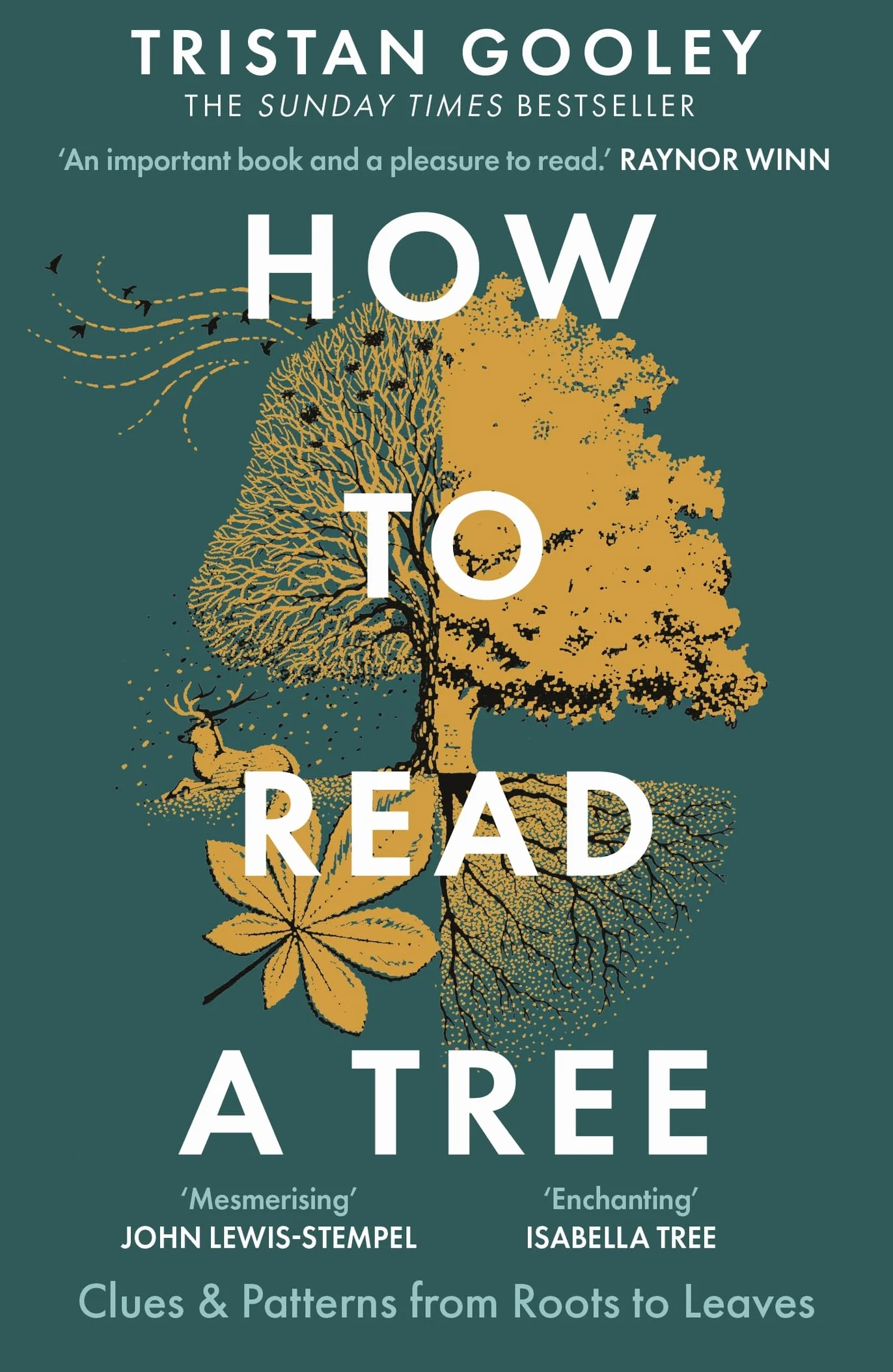 How to Read a Tree: Nature Lovers Spring Adventures