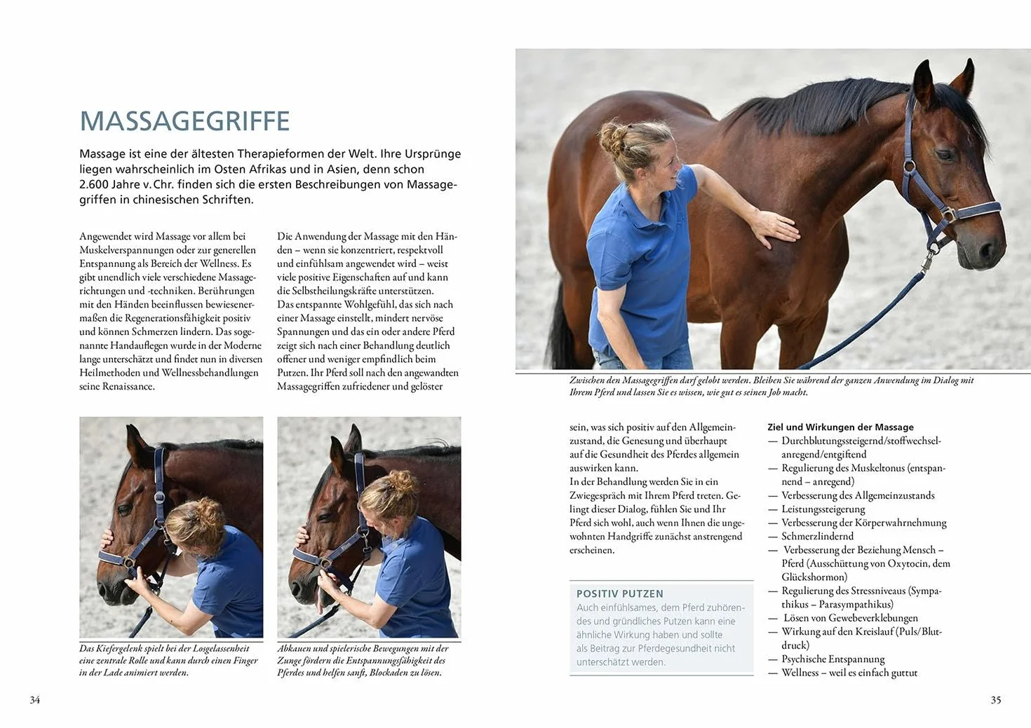 Praxisbuch Physiogriffe für Pferde: Selbst Verspannungen lösen und Wohlbefinden steigern