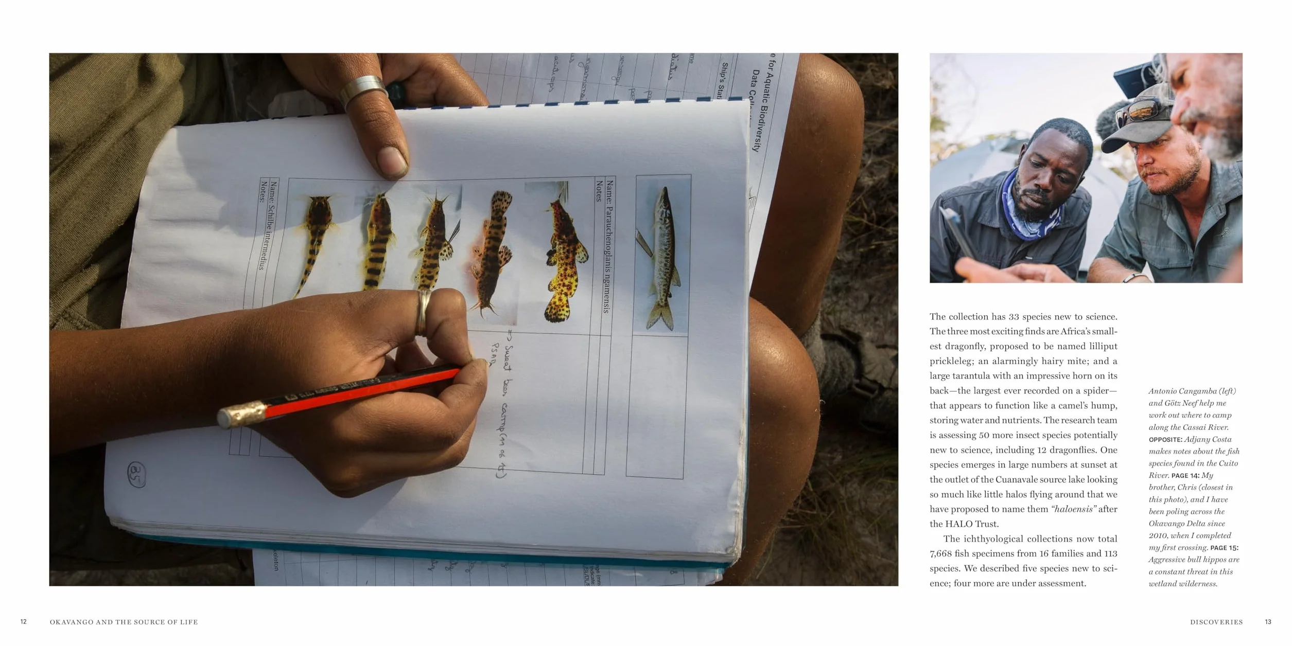 Okavango and the Source of Life: Exploring Africa's Lost Headwaters