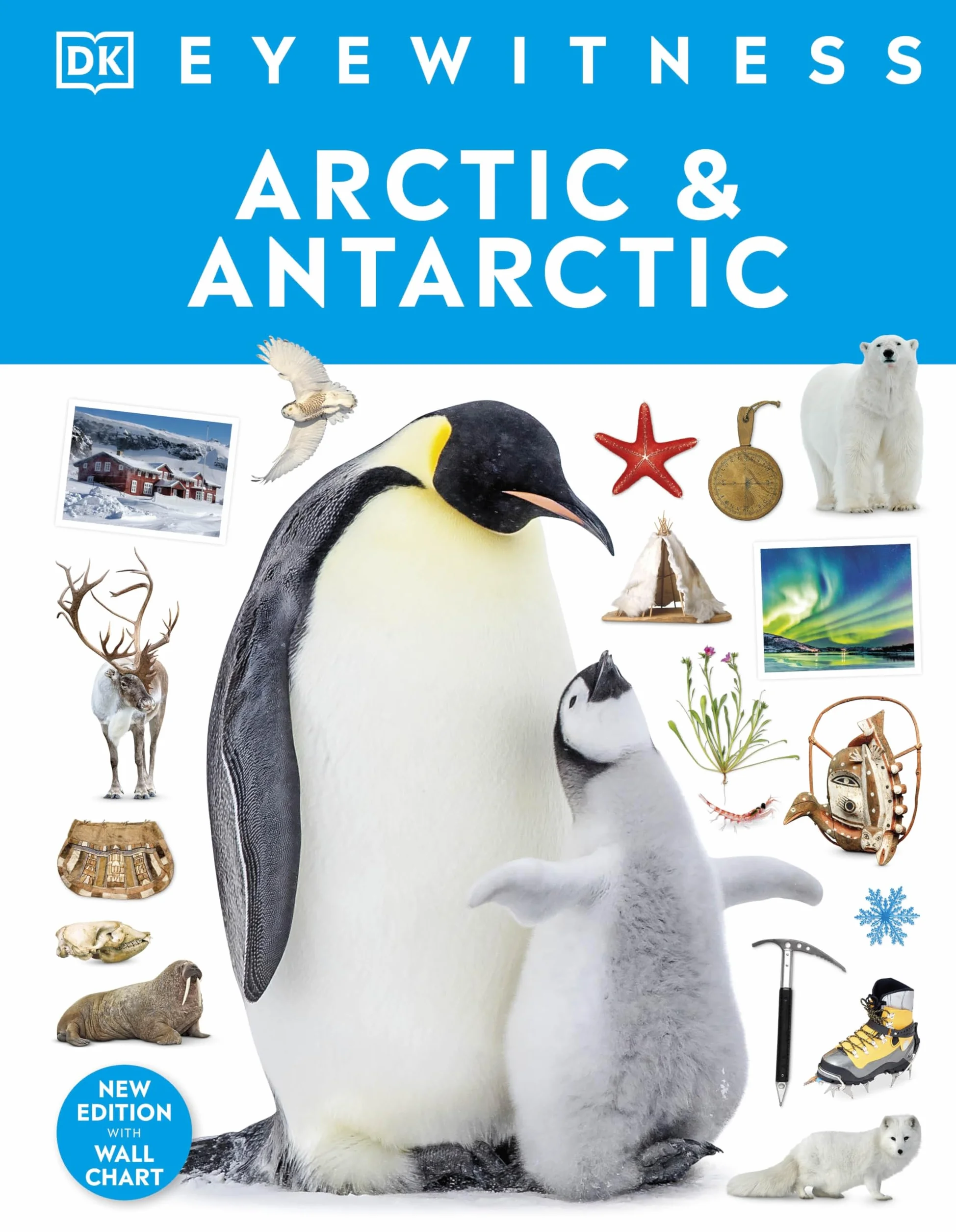 Arctic and Antarctic: DK Eyewitness