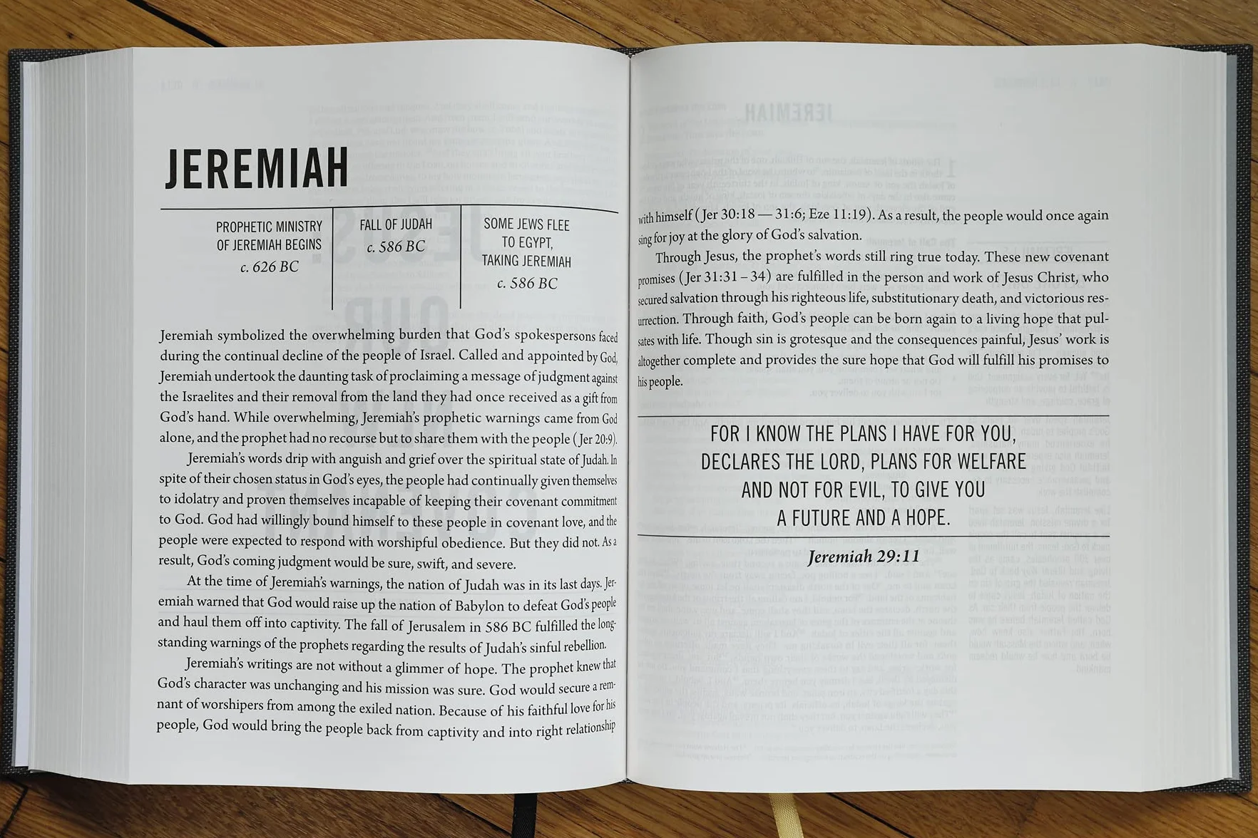 The Jesus Bible, ESV Edition, Cloth over Board, Grey