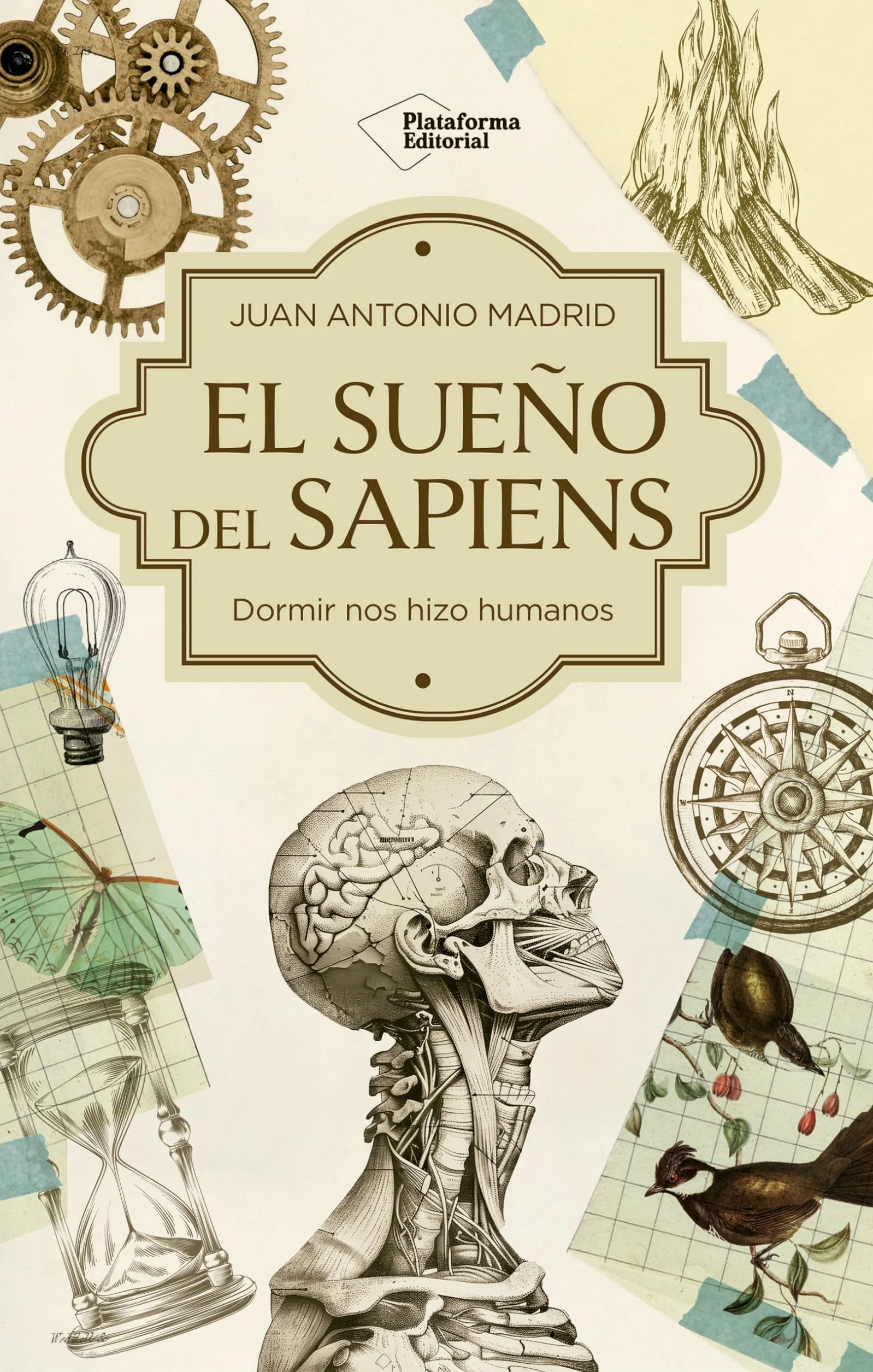El sueño del Sapiens: Cómo dormir y soñar nos hizo humanos