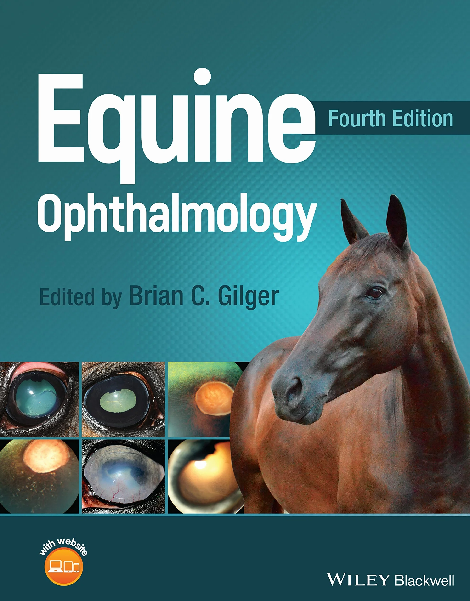 Equine Ophthalmology
