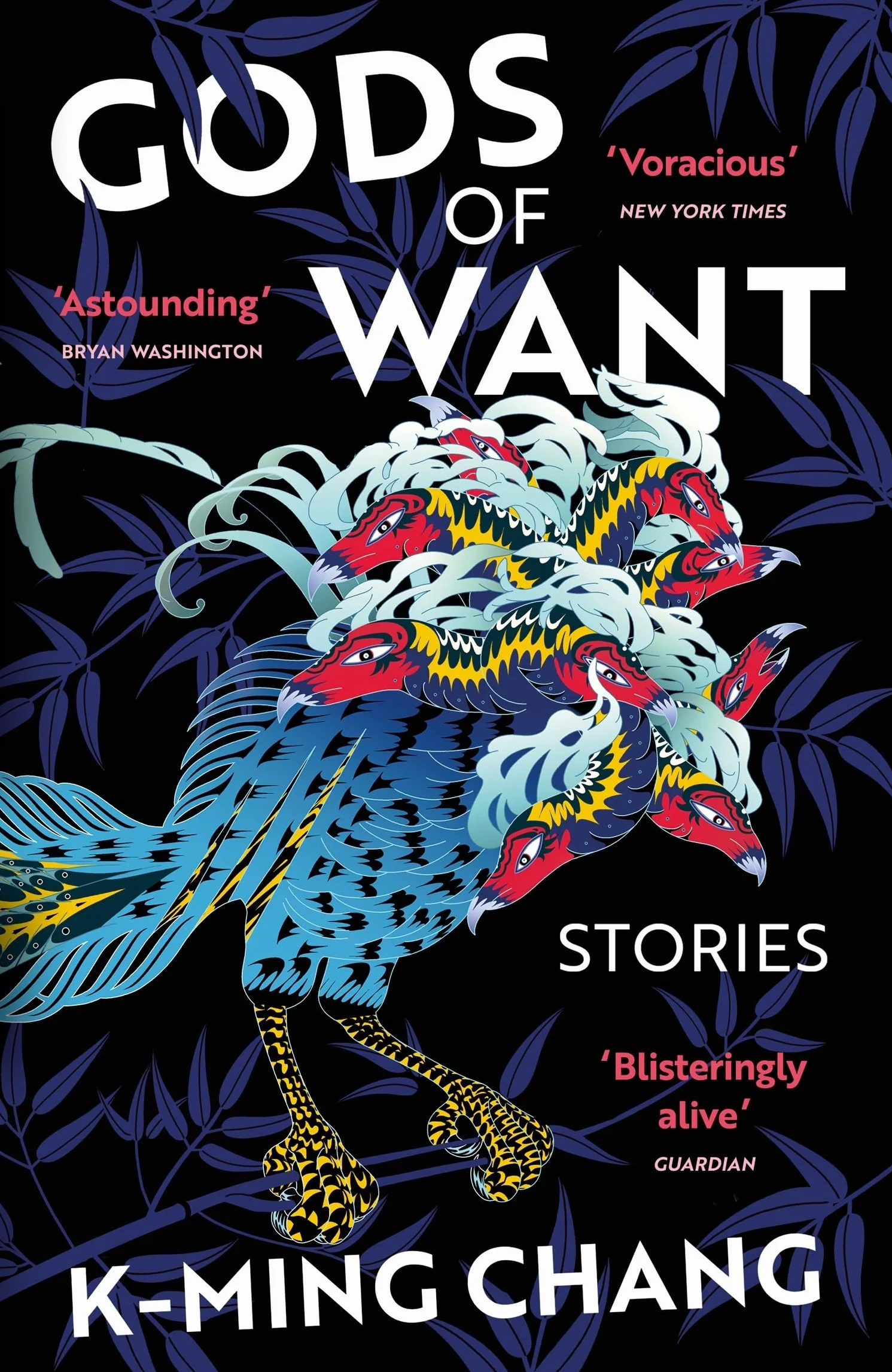 Gods of Want: A New York Times Notable Book of 2022