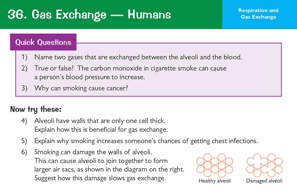 Edexcel International GCSE Biology Revision Question Cards