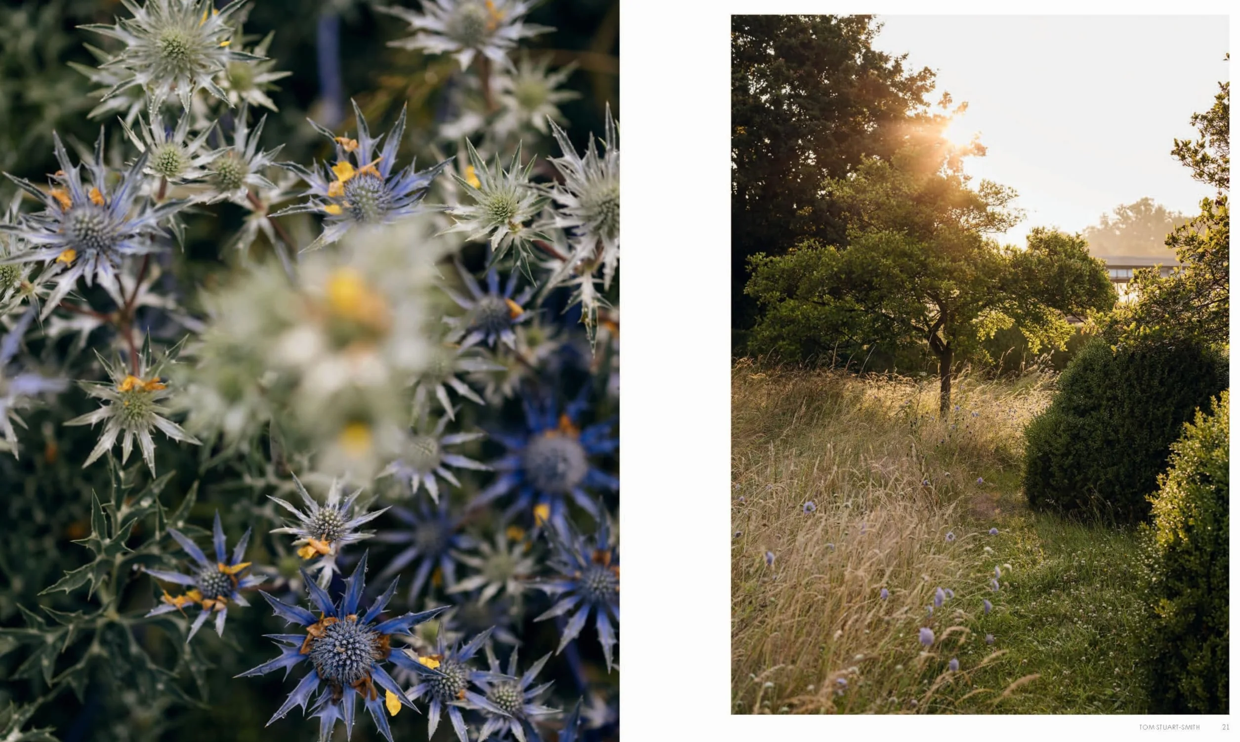 Wonderlands: British Garden Designers at Home