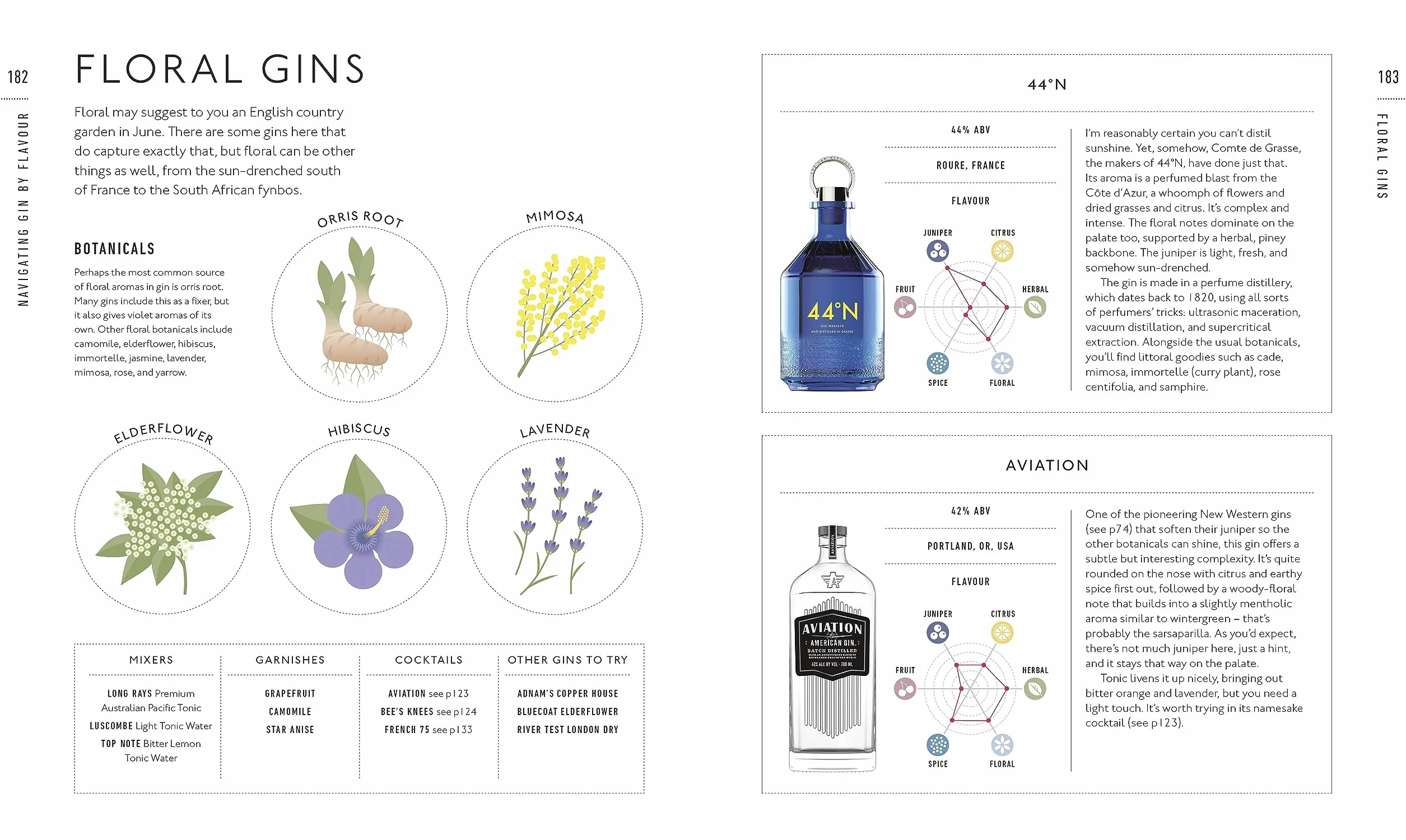 Gin A Tasting Course: Flavour-focused Approach to the World of Gin