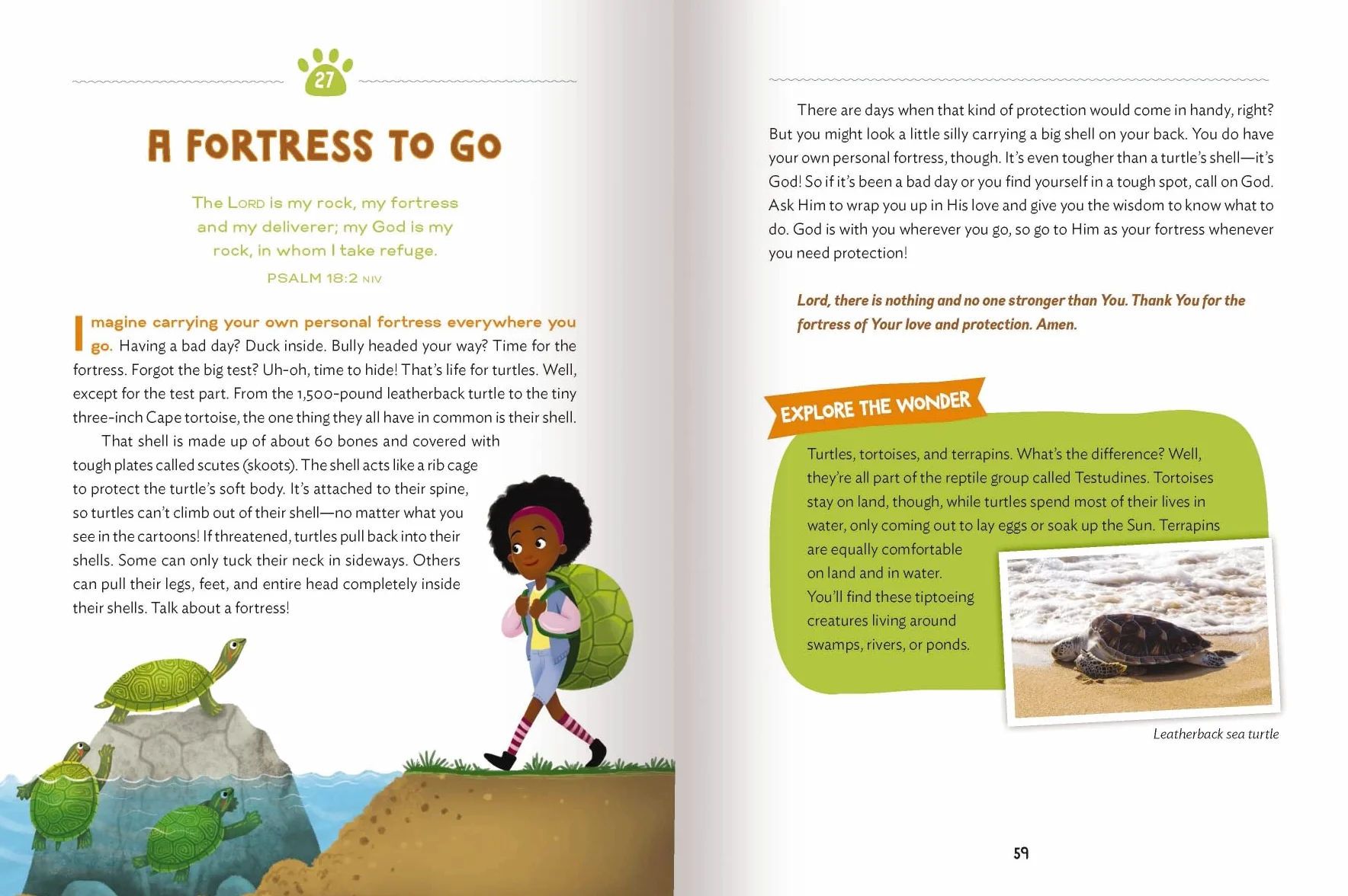 The Wonder of Creation: 100 More Devotions about God and Science