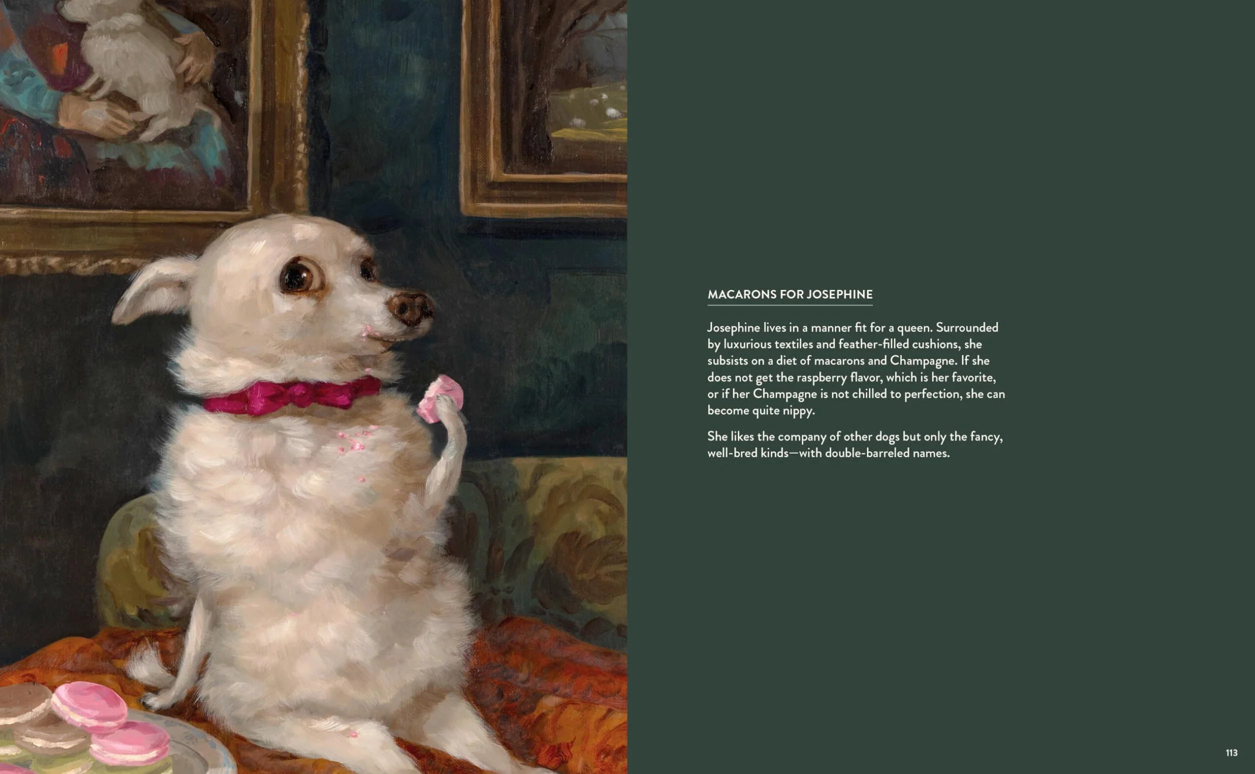 Dog Only Knows: The Dog Portraits of Alison Friend