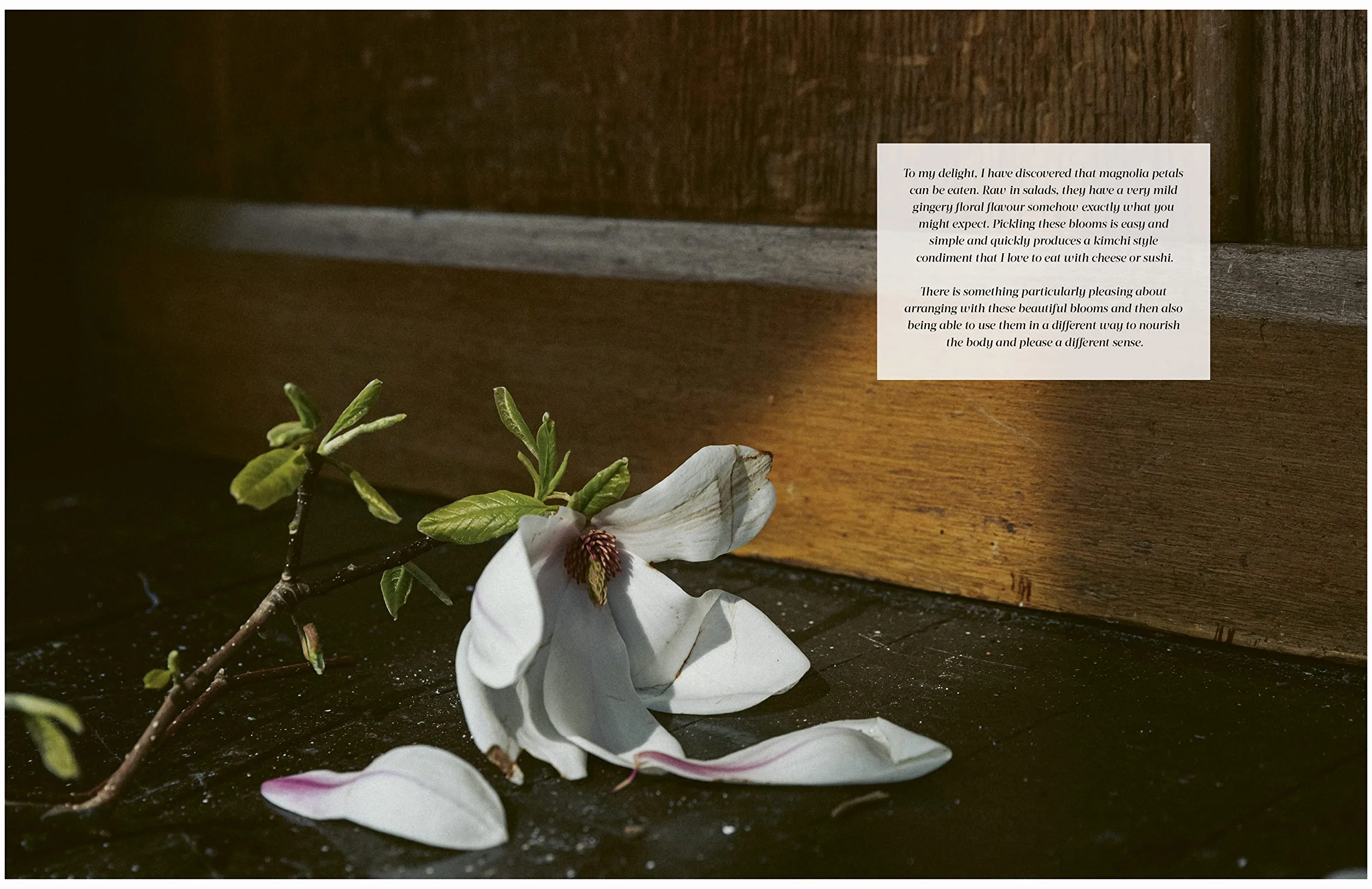 Flower Philosophy /anglais: Seasonal Projects to Inspire & Restore