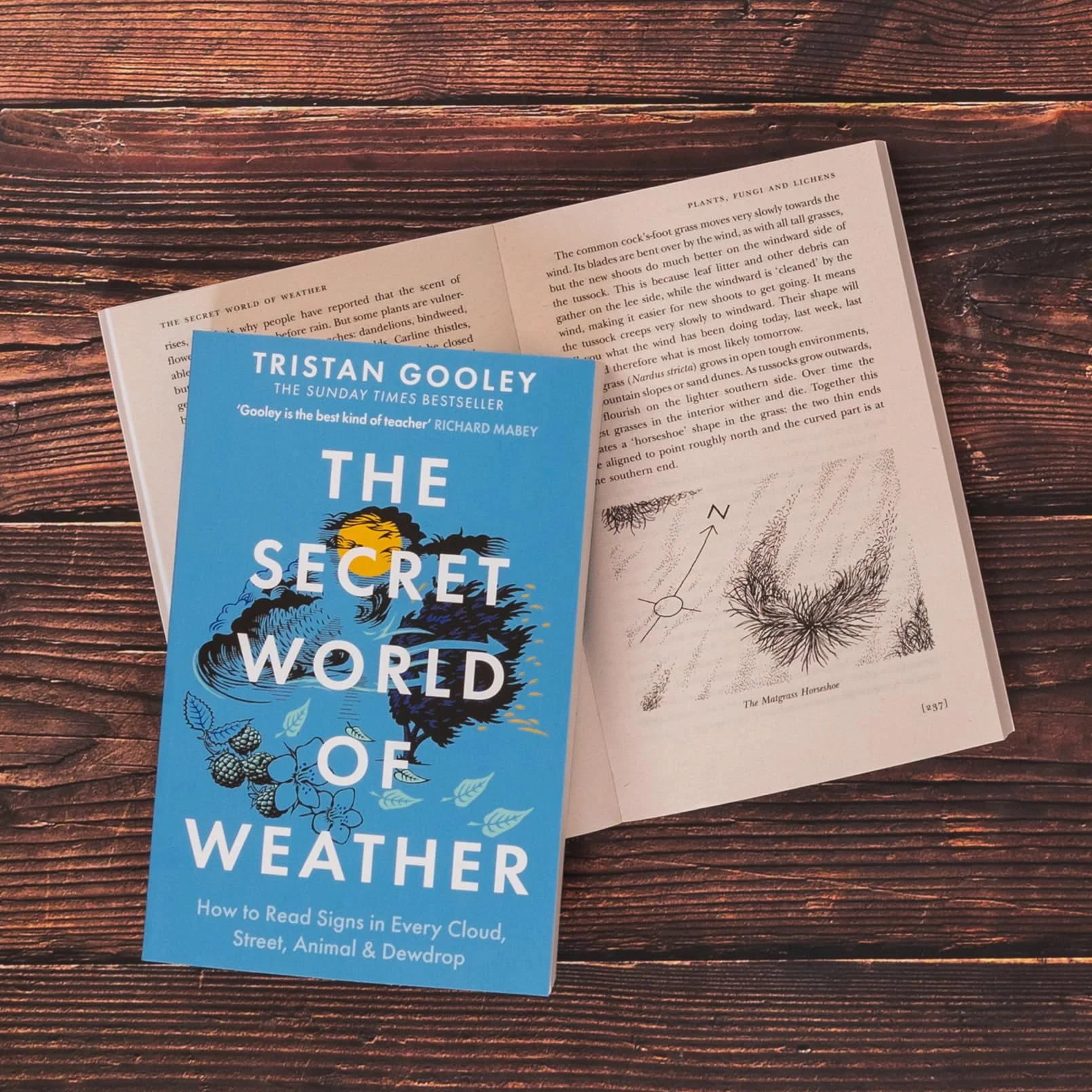 The Secret World of Weather: A Must-Have for Nature Lovers
