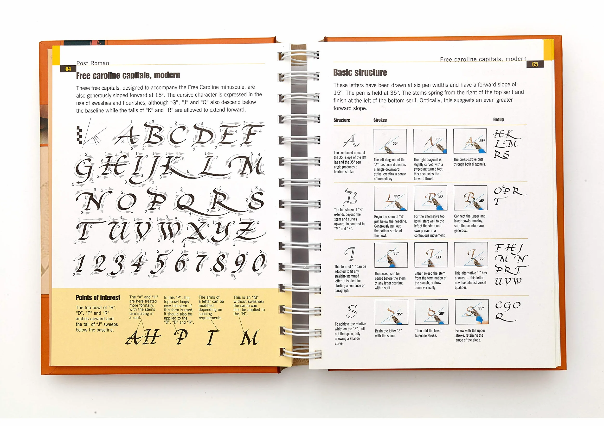 The Calligrapher's Bible: 100 Complete Alphabets and How to Draw Them
