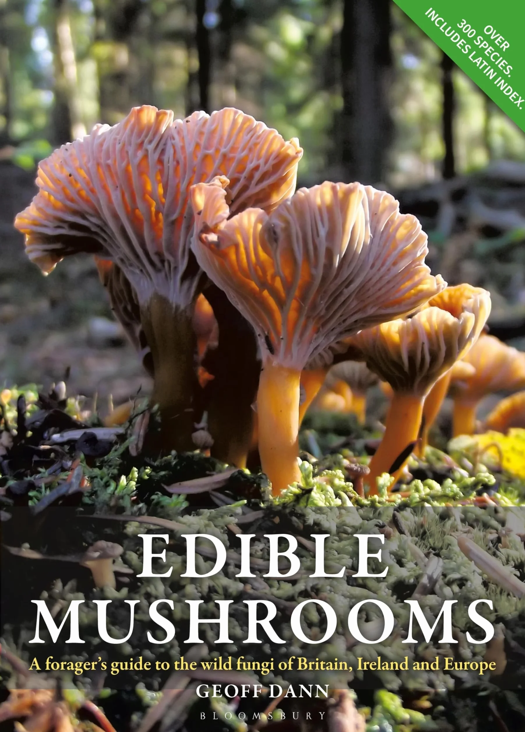 Edible Mushrooms: A Forager's Guide to Wild Fungi of Britain, Ireland and Europe