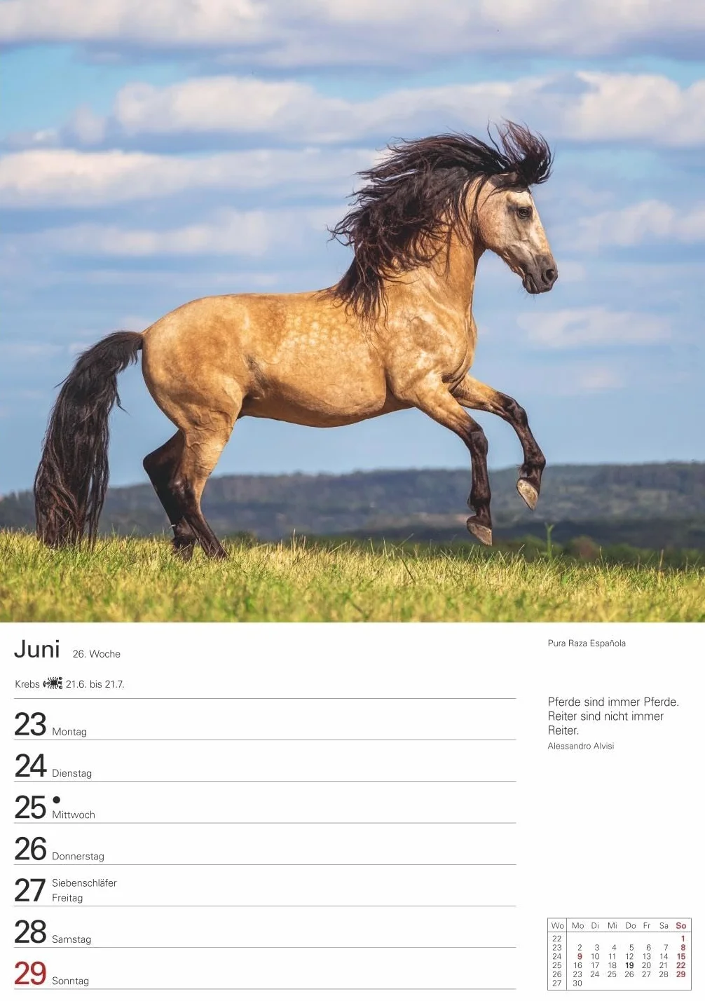 Pferde Wochenplaner 2025 - 53 Blatt mit Zitaten und Wochenchronik: Wochenkalendarium, Zitate und Pferdefotos in einem praktischen Termin-Kalender. ... Fotokalender mit Raum für Notizen