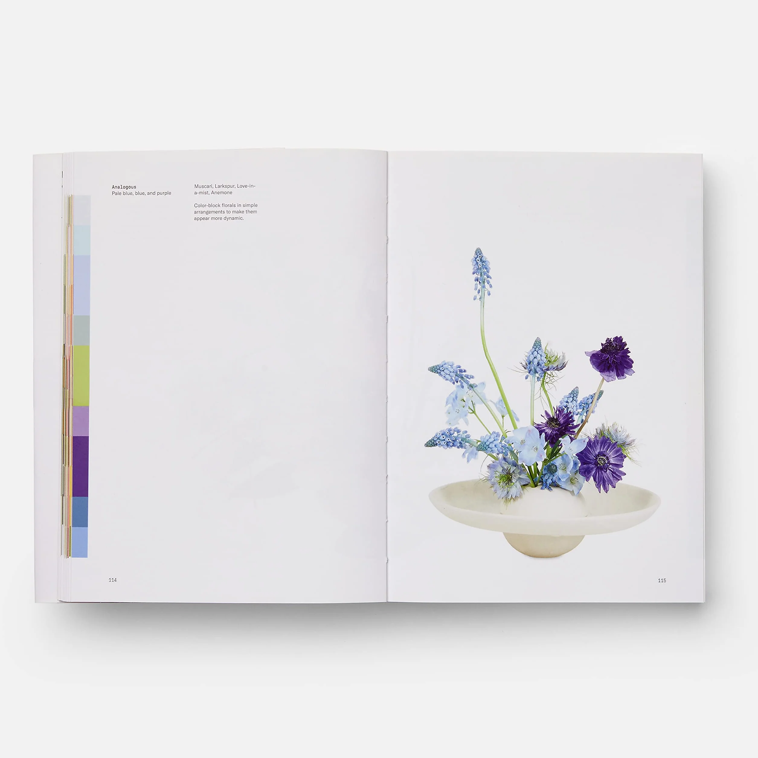 Flower Colour Theory
