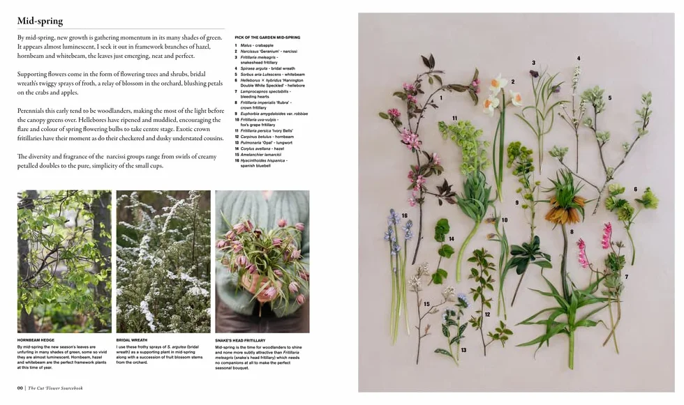The Cut Flower Sourcebook: Exceptional Perennials and Woody Plants for Cutting