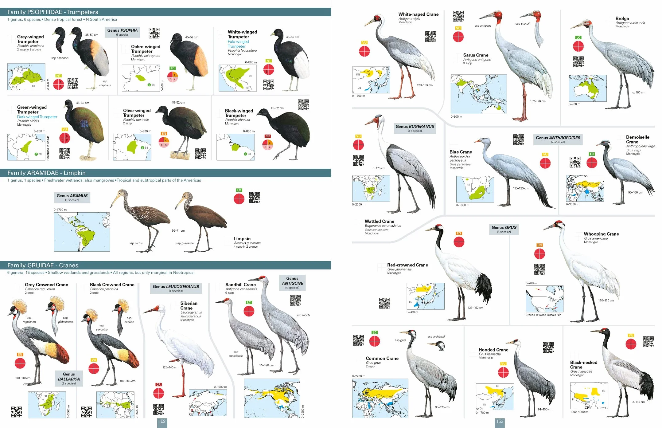 All the Birds of the World