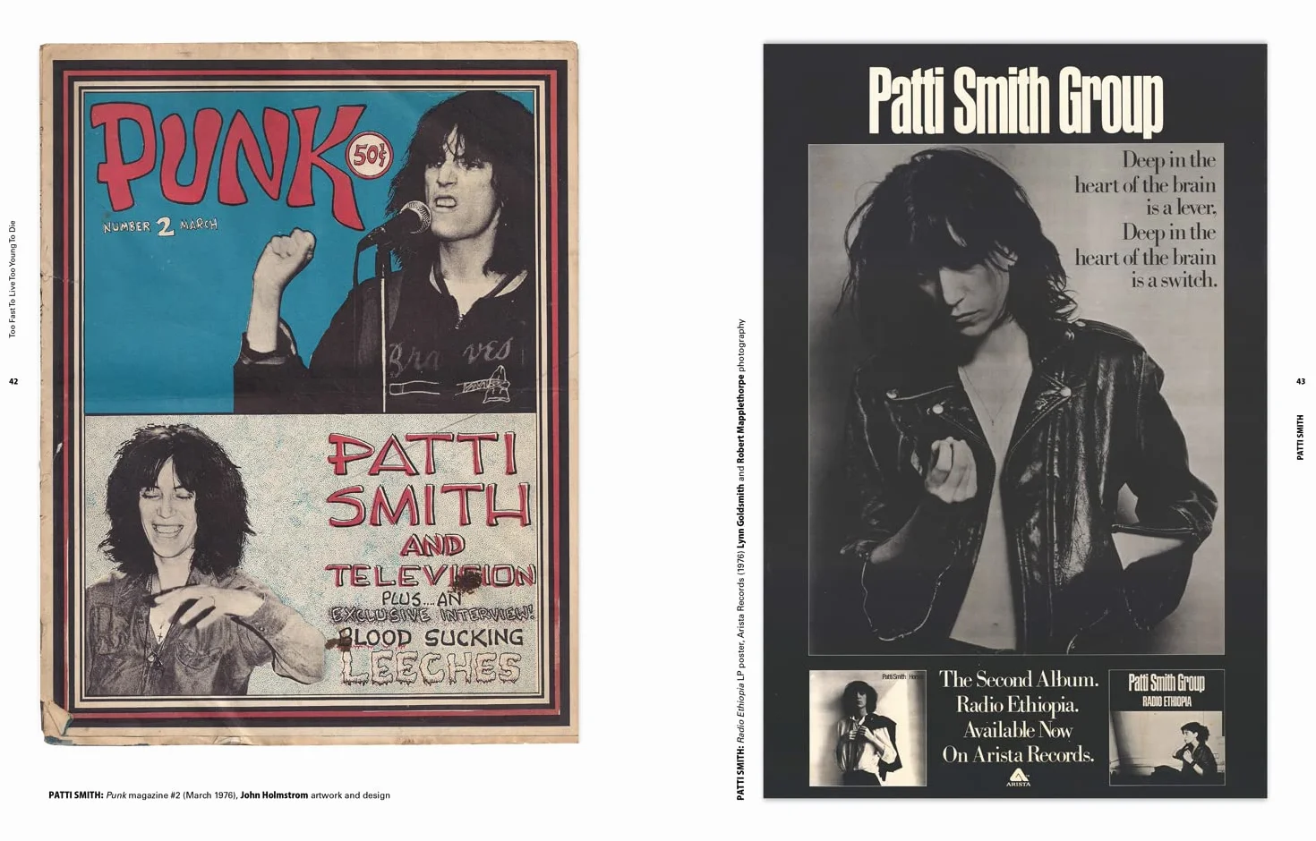 Too Fast to Live Too Young to Die: Punk & post punk graphics 1976-1986