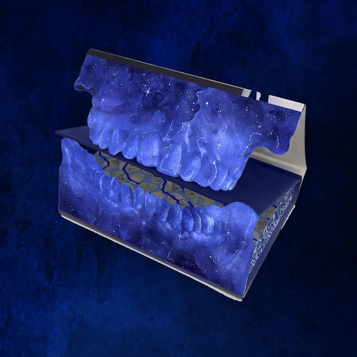 They Both Die at the End Collector's Deluxe Limited Edition