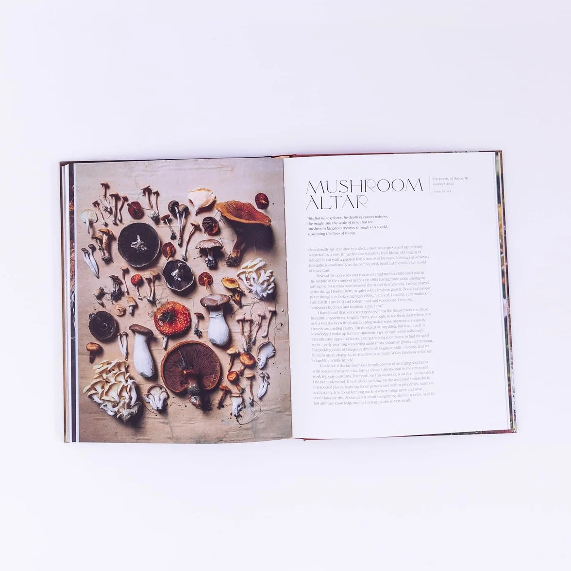 Flower Philosophy /anglais: Seasonal Projects to Inspire & Restore
