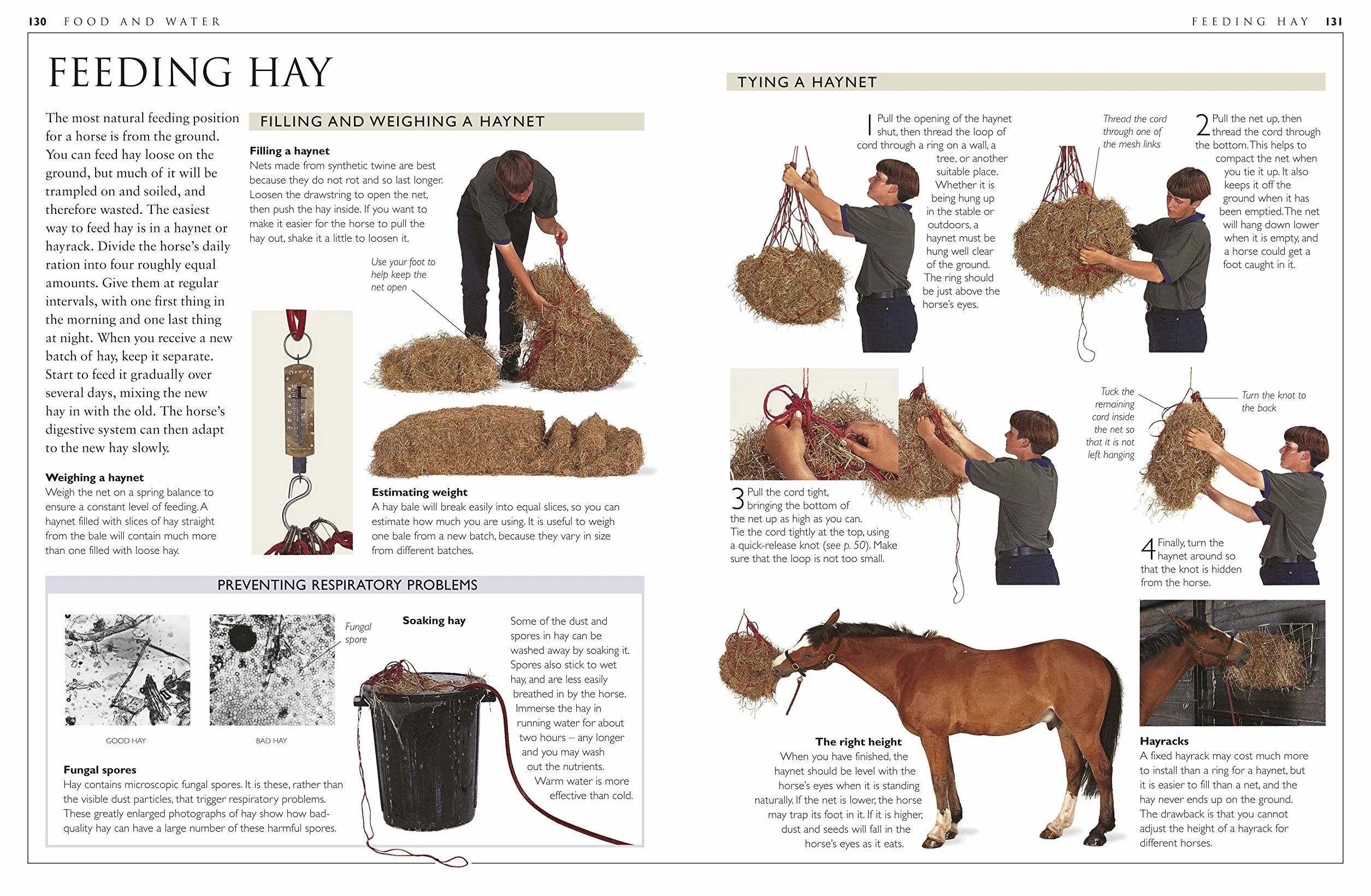 Complete Horse Care Manual