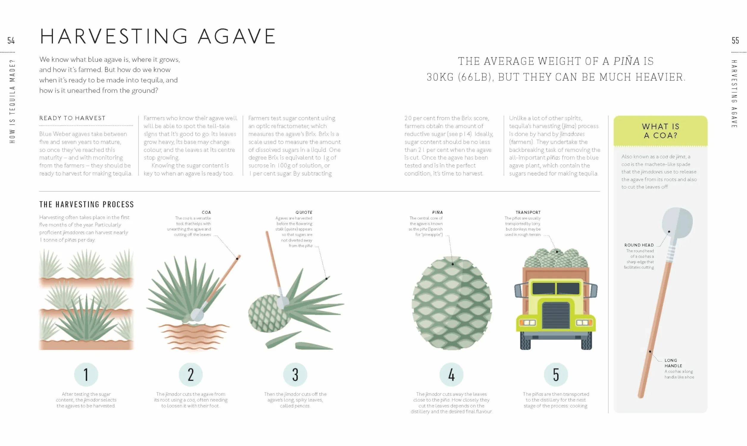 Tequila: A Tasting Course