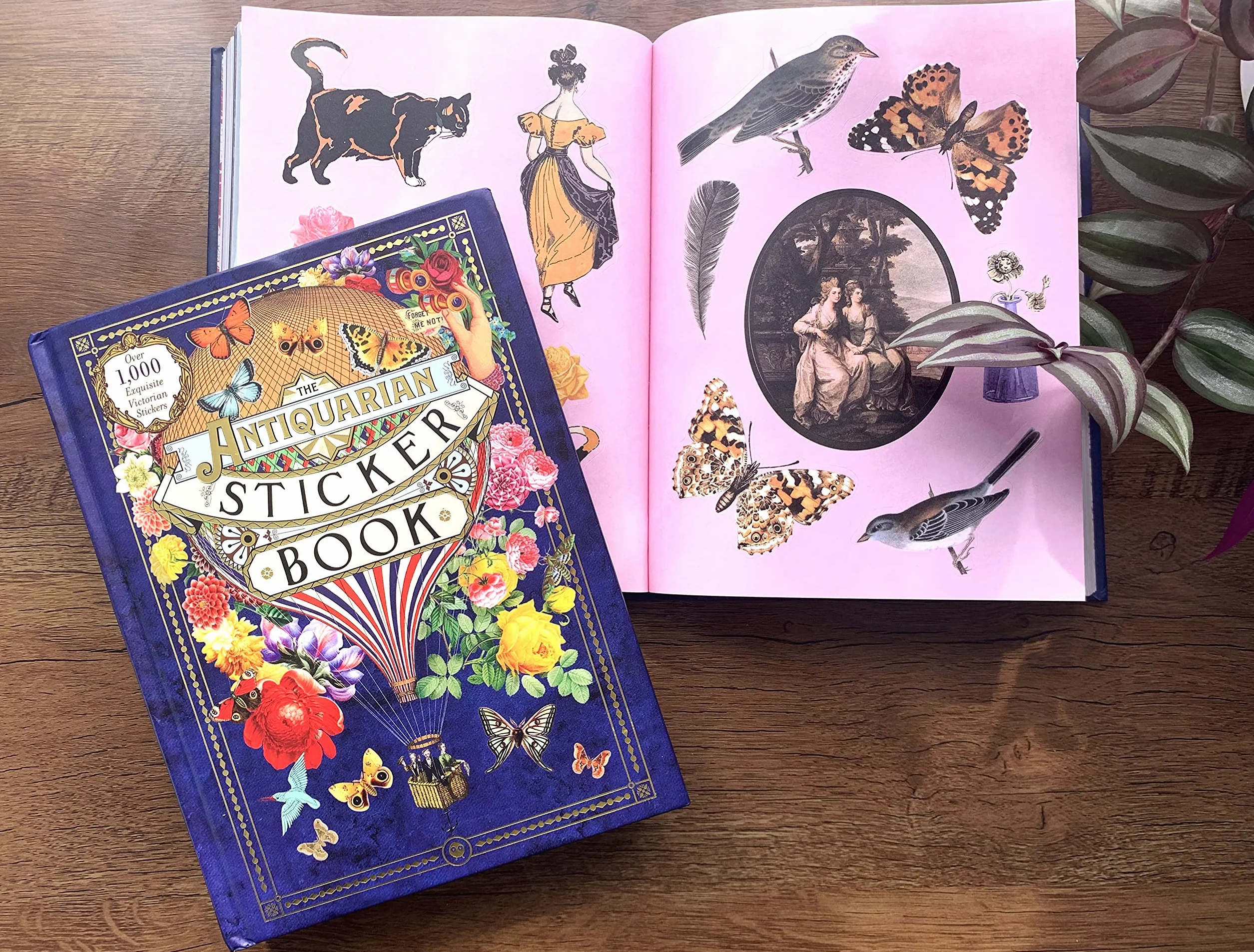 The Antiquarian Sticker Book (Over 1,000 Exquisite Victorian Stickers) /anglais