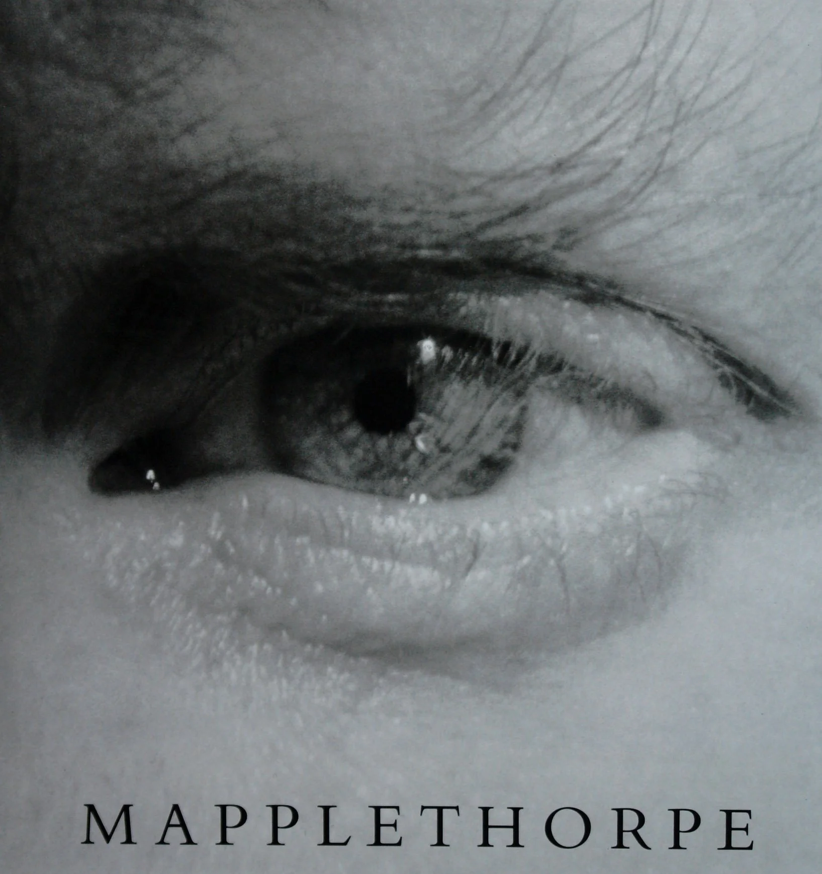 Mapplethorpe /anglais
