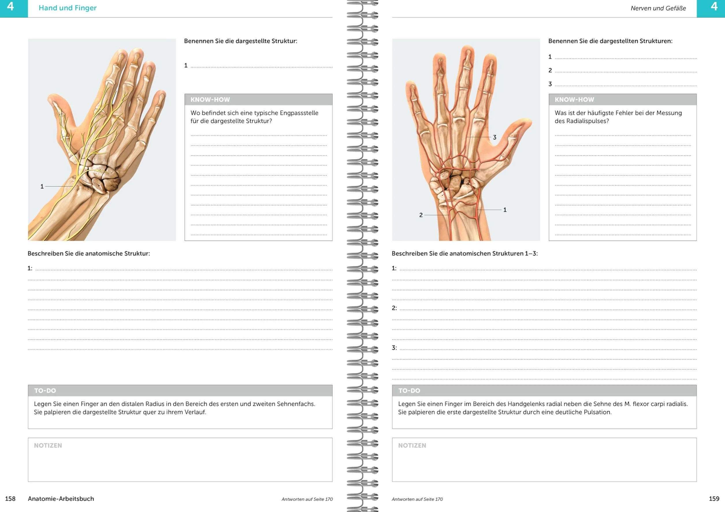 Anatomie-Arbeitsbuch: Anatomie aktiv erfahren und verstehen